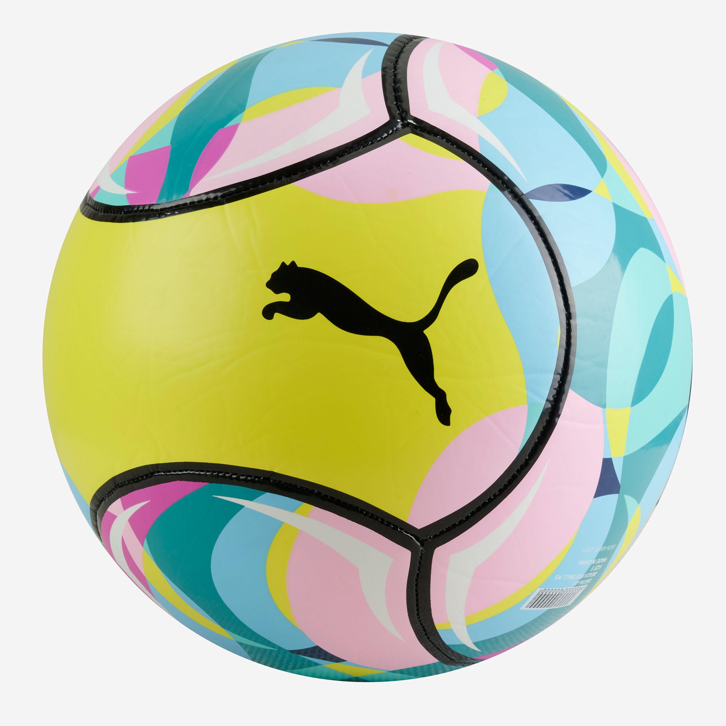 PUMA picture
