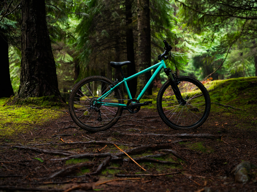 7 years 8 years 9 years 10 years mountain bike