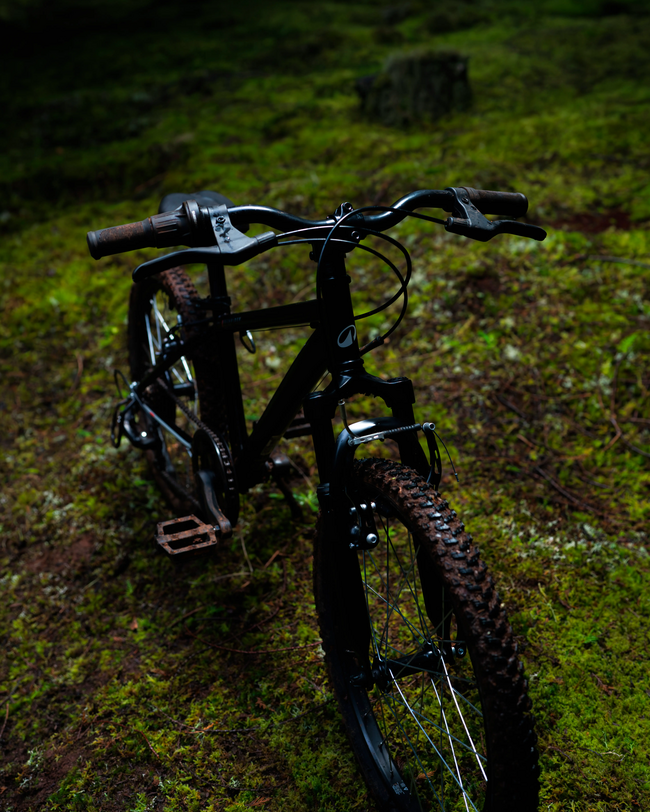 Zwei Kinder mit Helmen fahren auf orangem und schwarzem Fahrrad einen Waldweg entlang