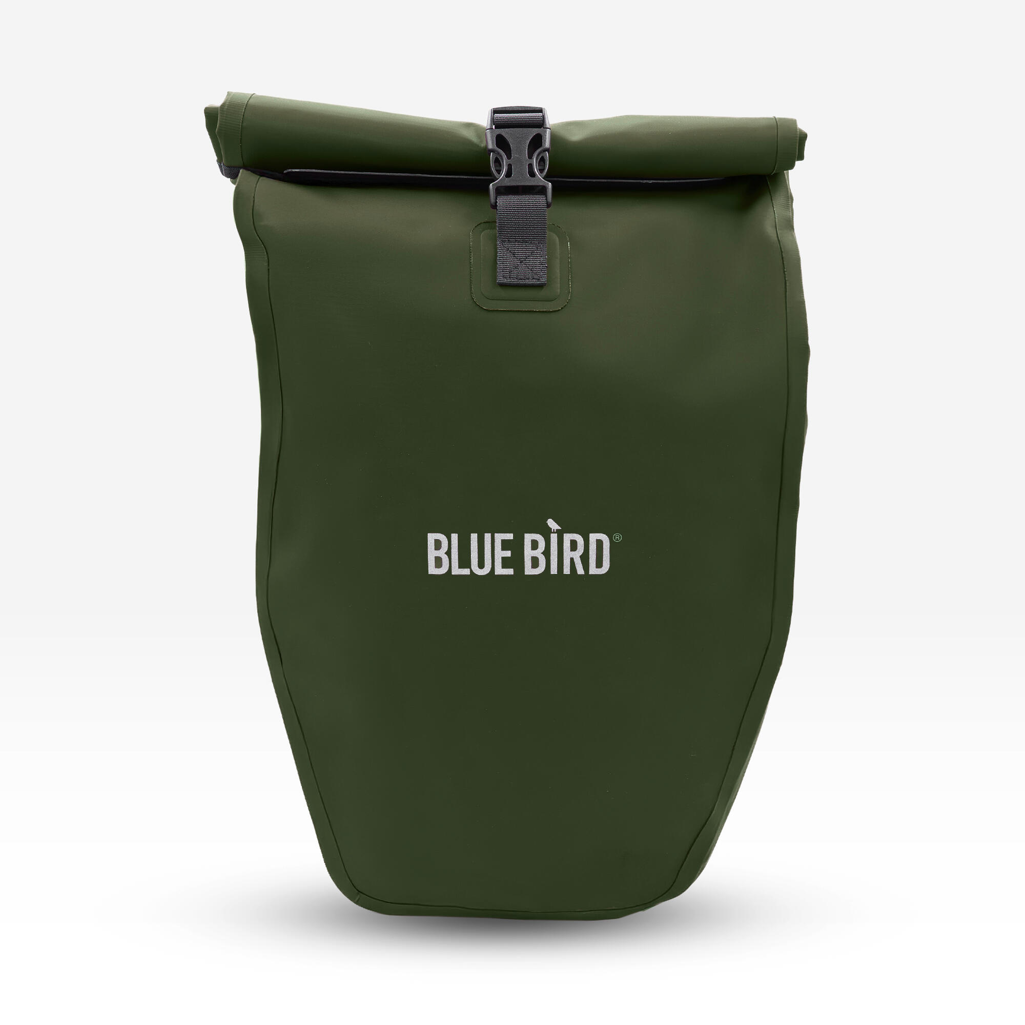 BLUE BIRD picture