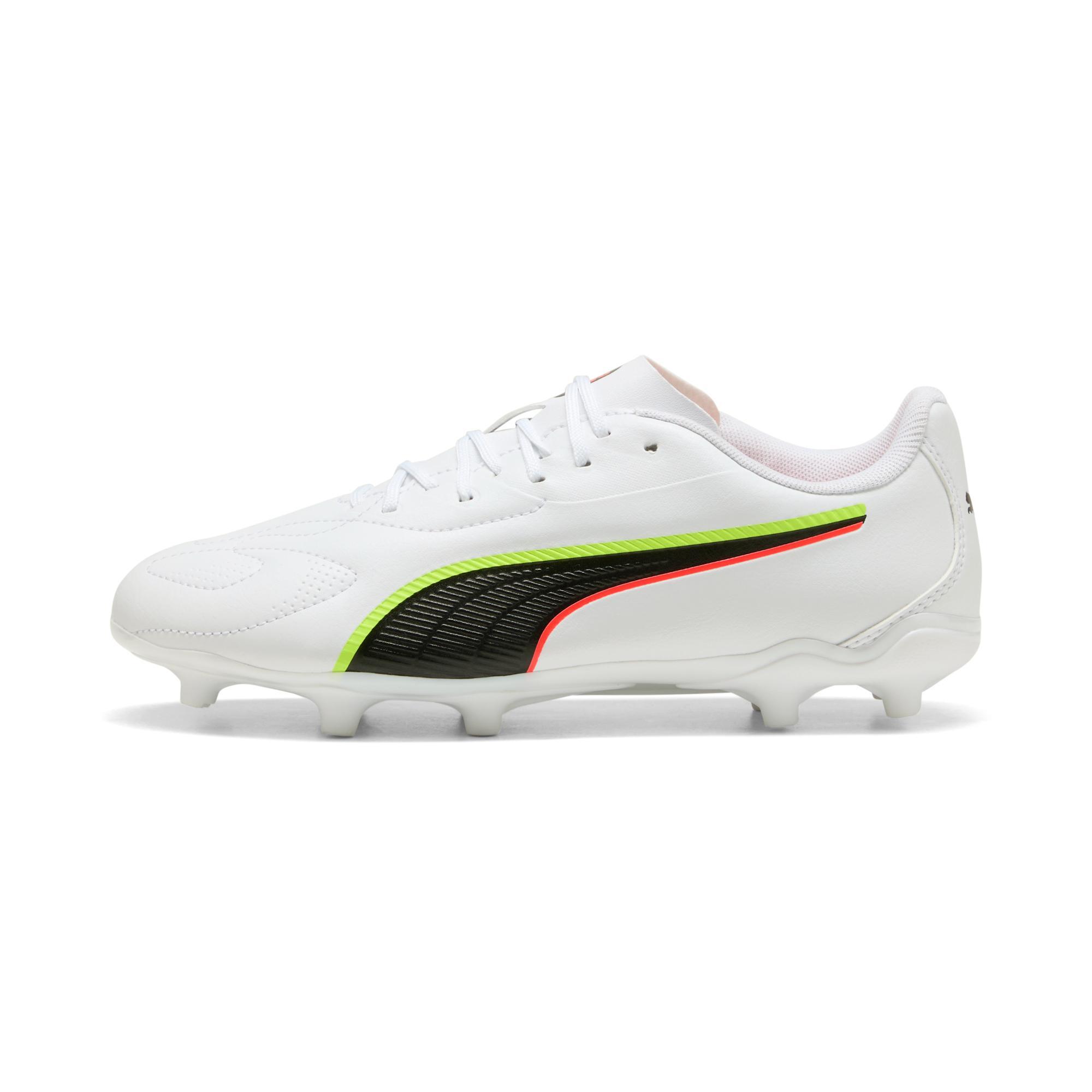 PUMA picture