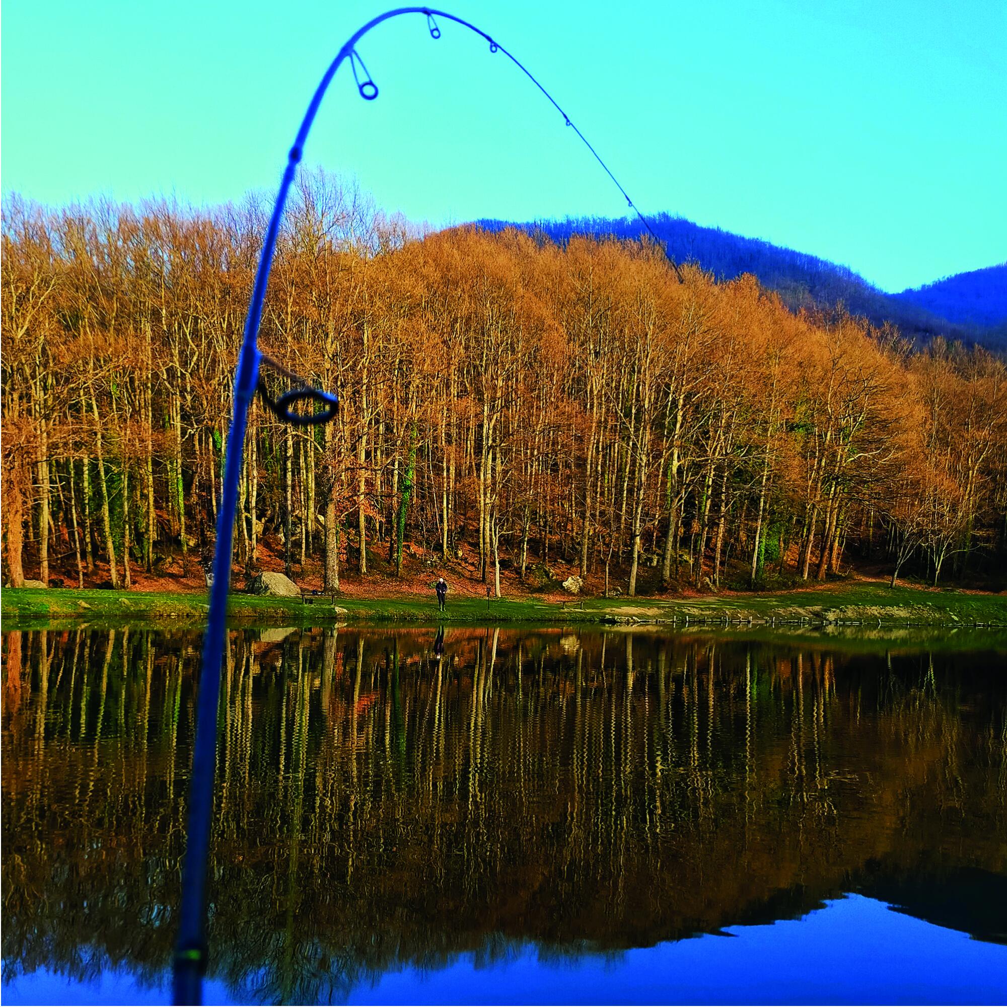 Canna pesca spinning trout area Maver STRIKE 1.88m 1-5g 7/7
