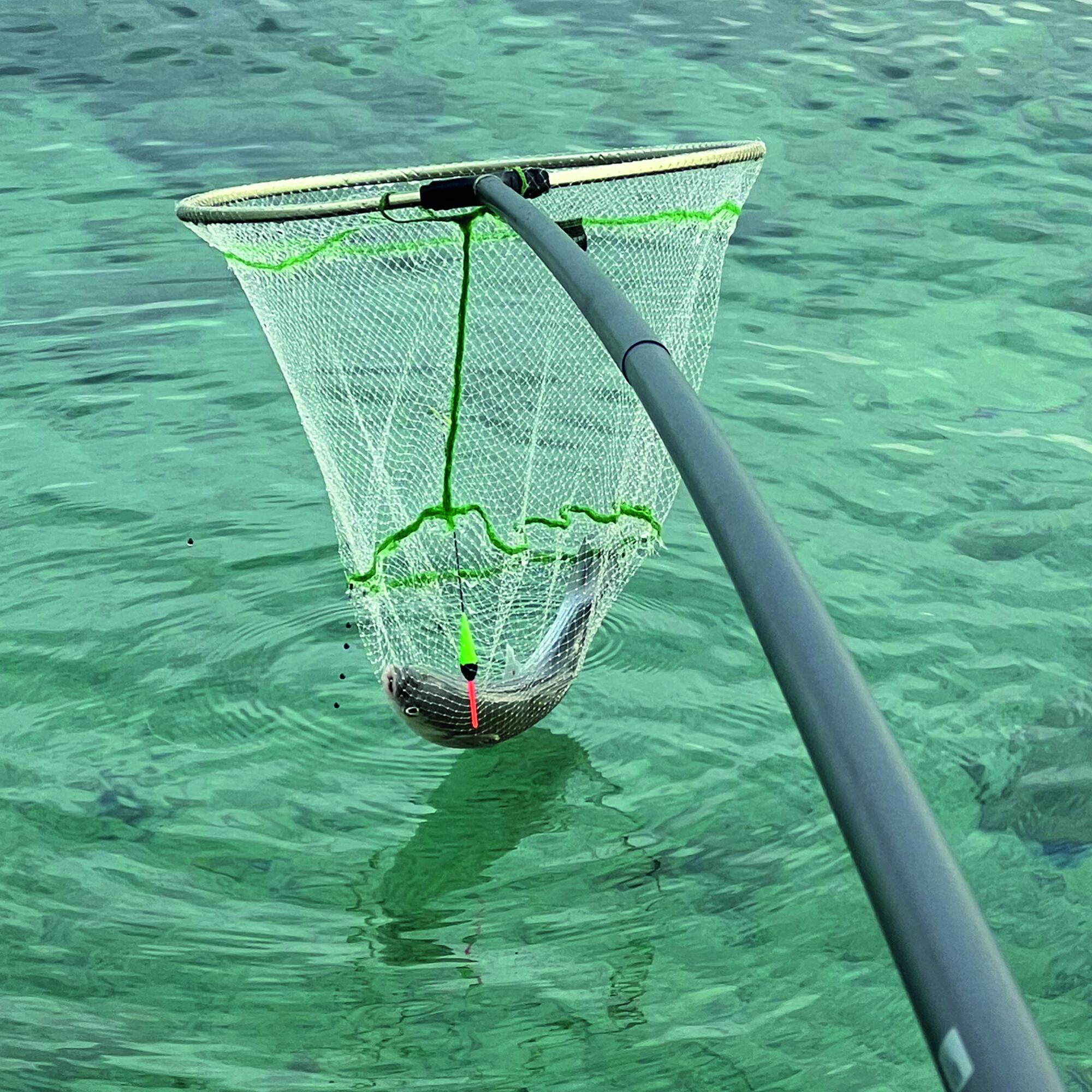 Testa guadino pesca colpo mare Maver UFO NYLON  40x50 cm trasparente 3/6