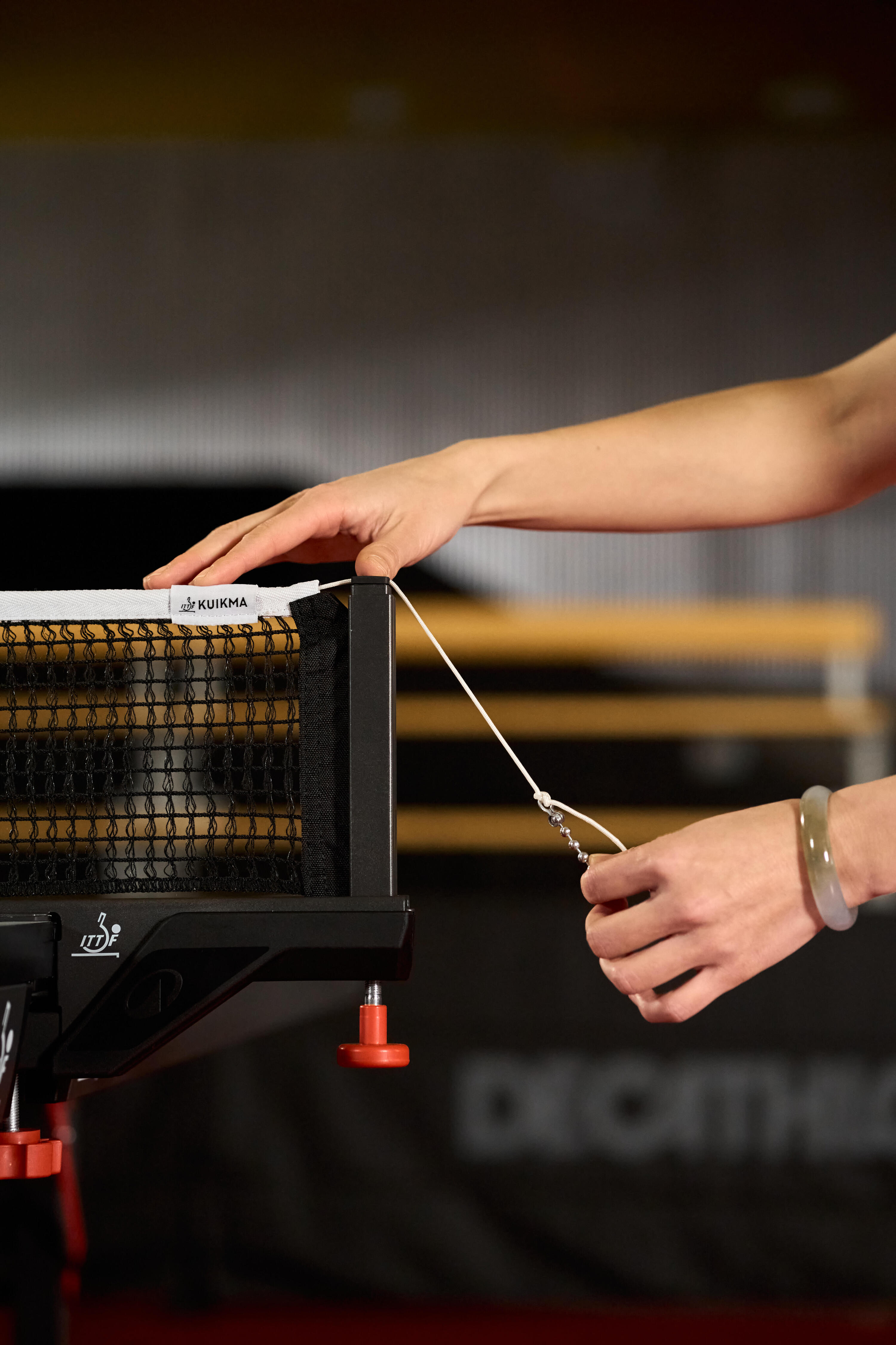 Postes e Rede para mesa de Ping Pong TTPN 990 Pro ITTF 12/12