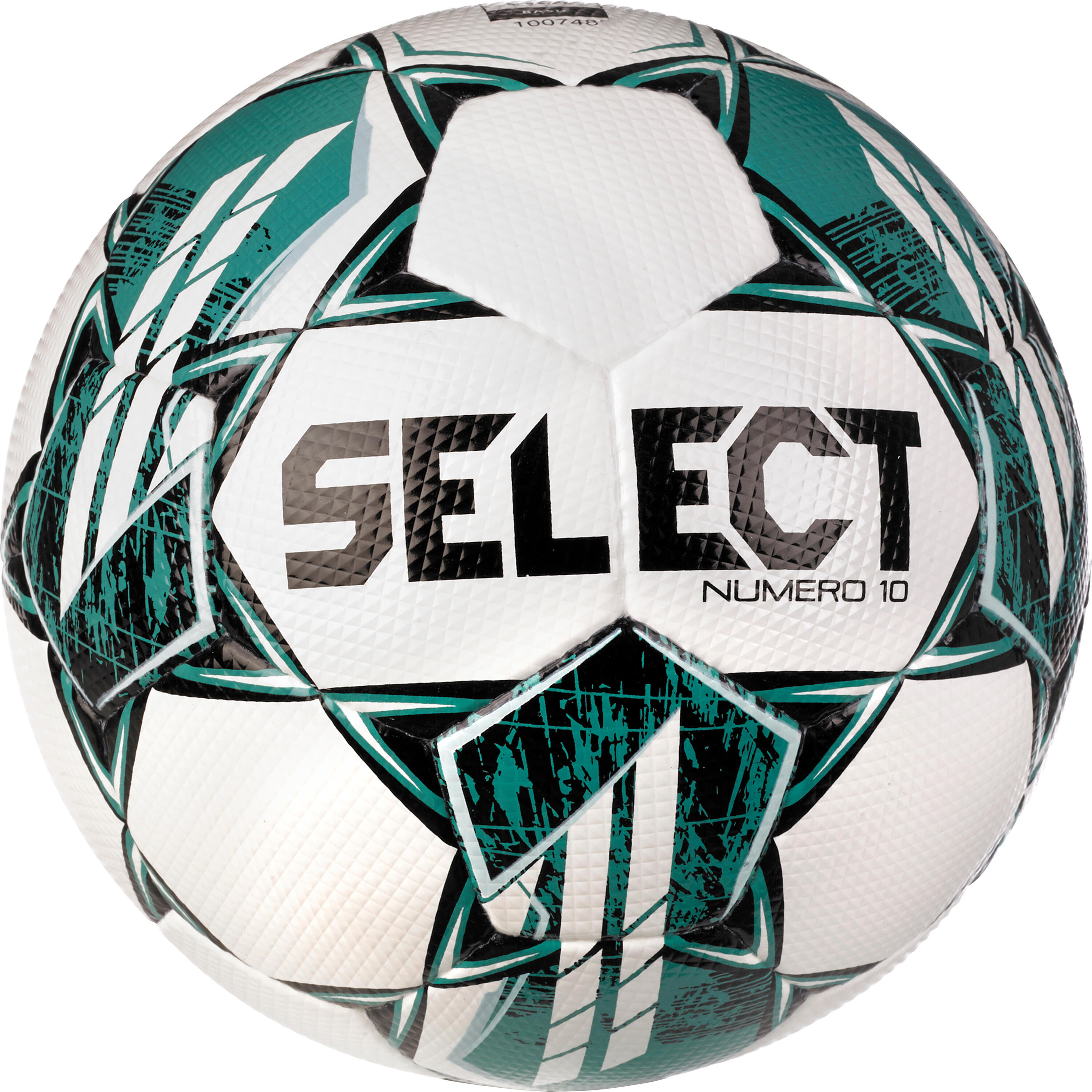SELECT picture