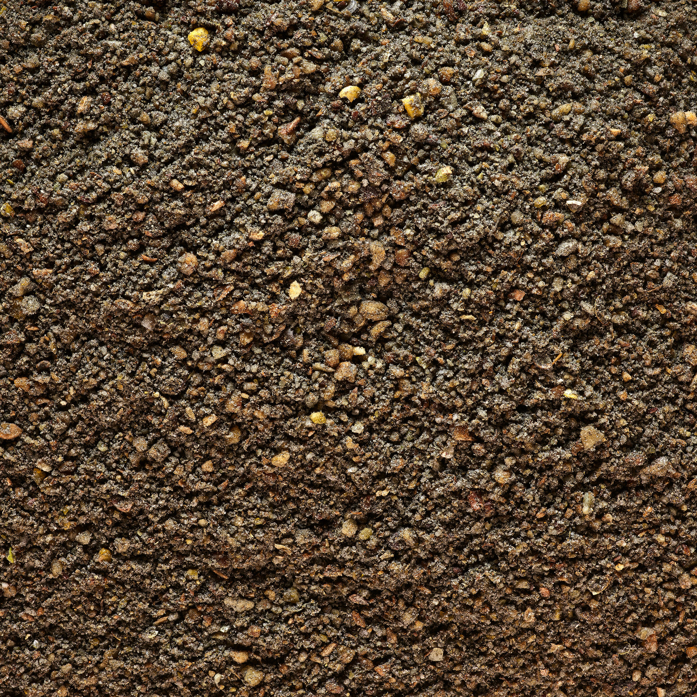 Angelfutter Gooster Special Plötzen 1 kg schwarz  4/10