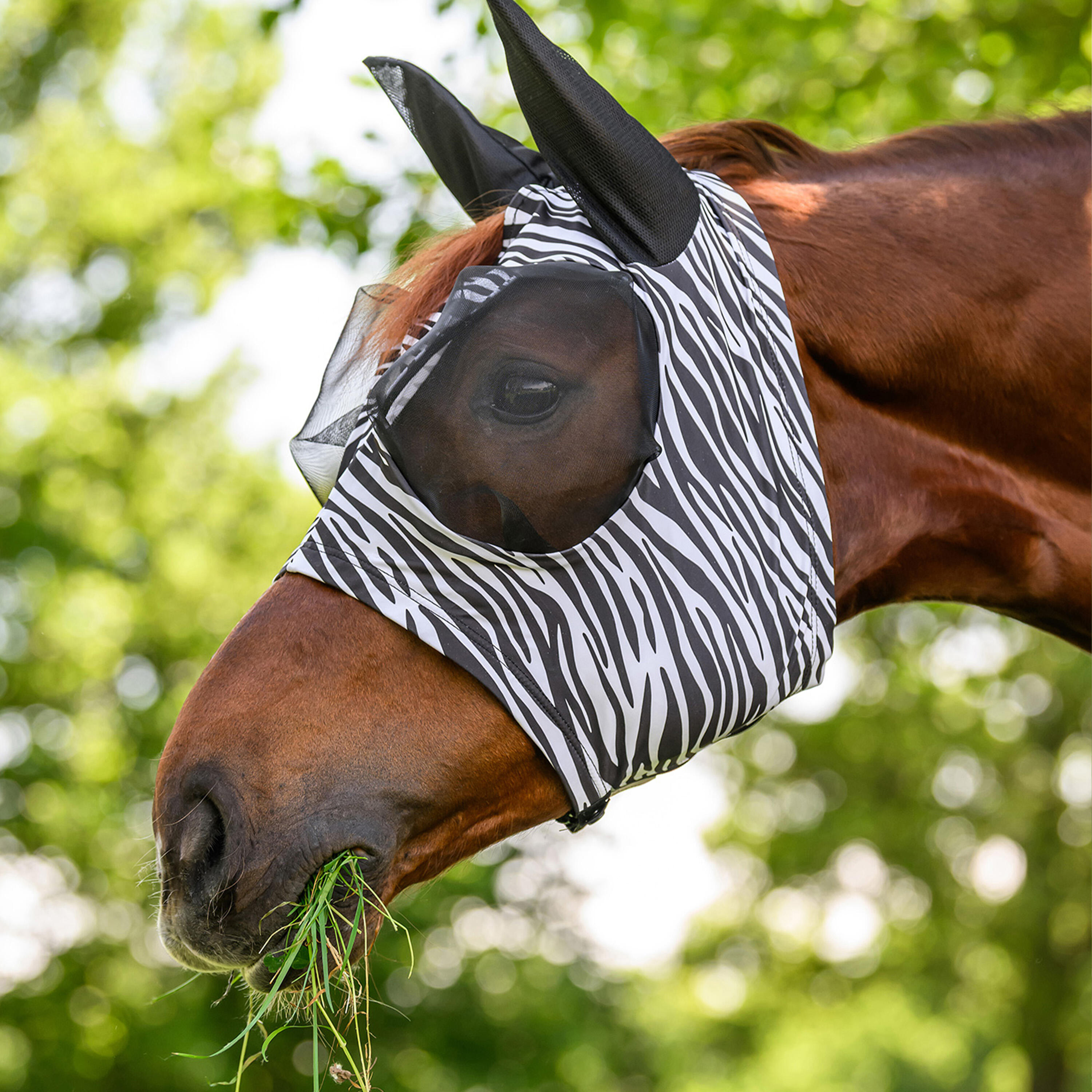 Vliegenmasker zebrastrepen 4/4