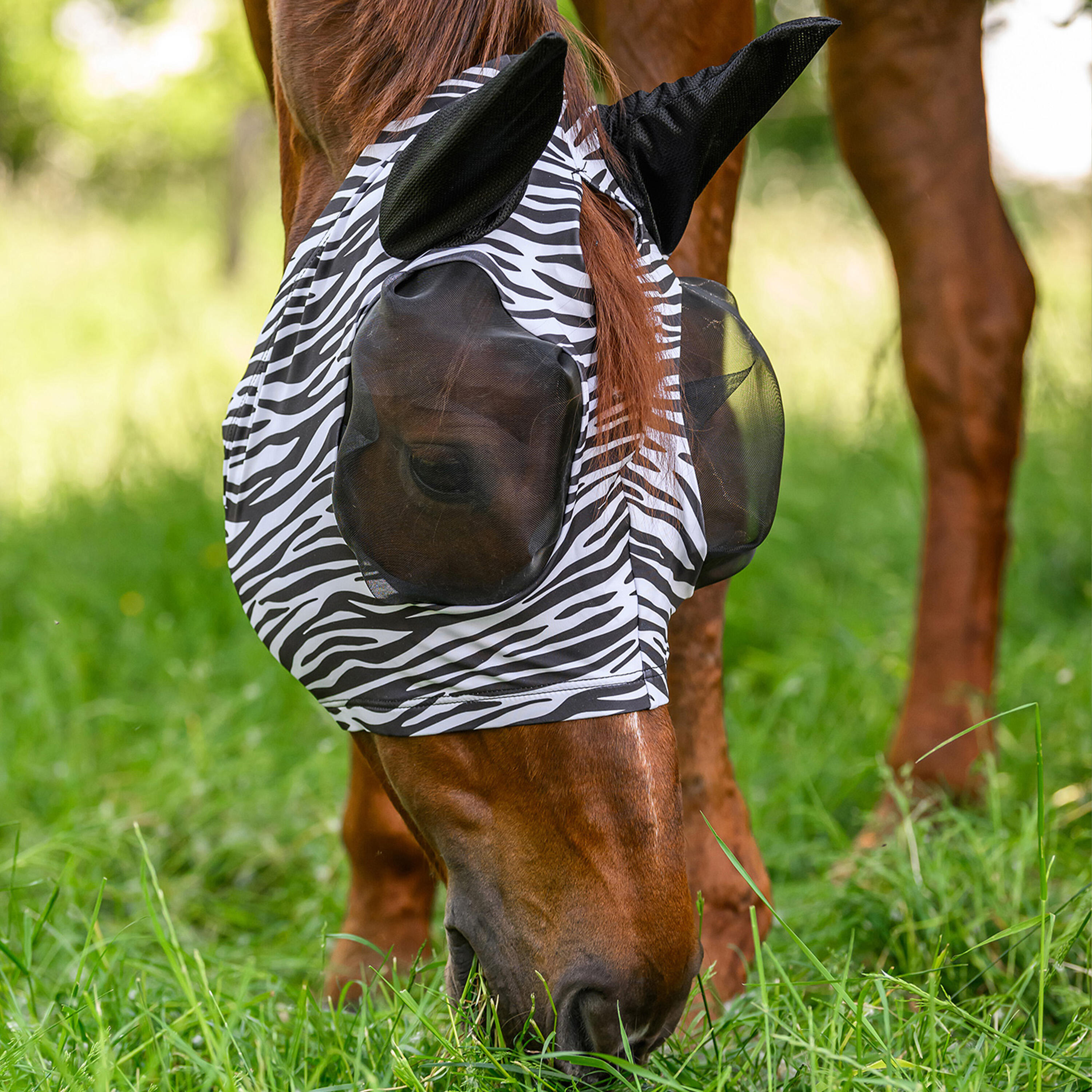 Vliegenmasker zebrastrepen 3/4