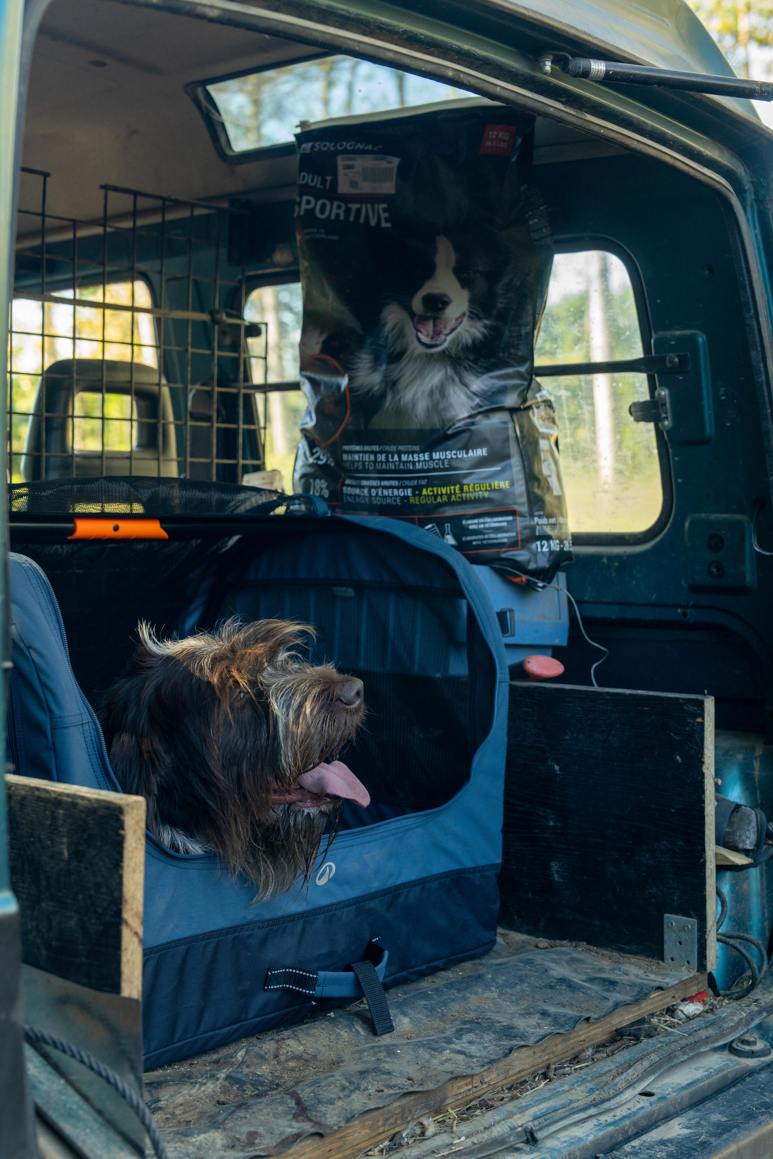 Caixa Dobrável de Transporte para 1 Cão 12/12