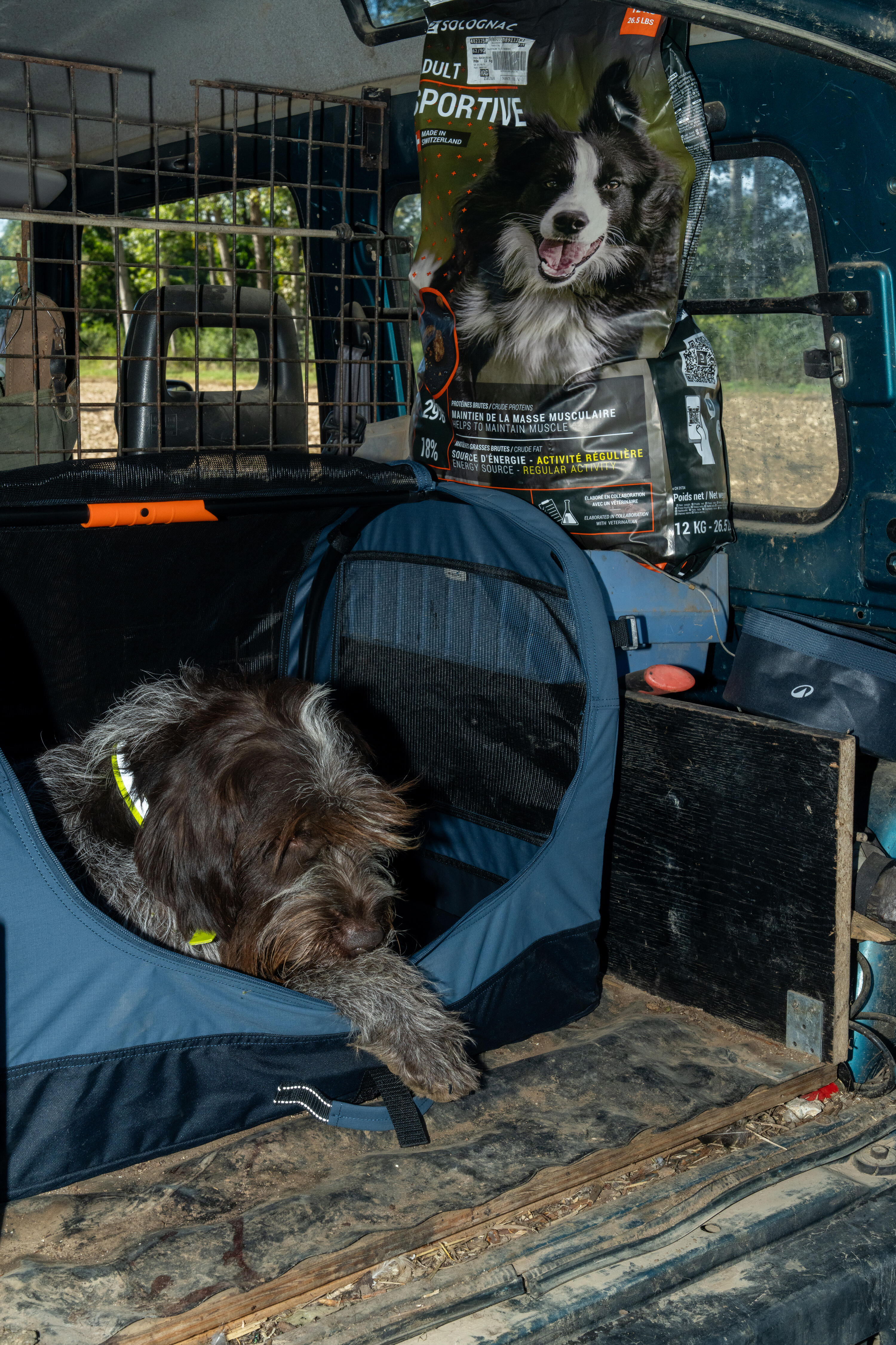 Caixa Dobrável de Transporte para 1 Cão 11/12