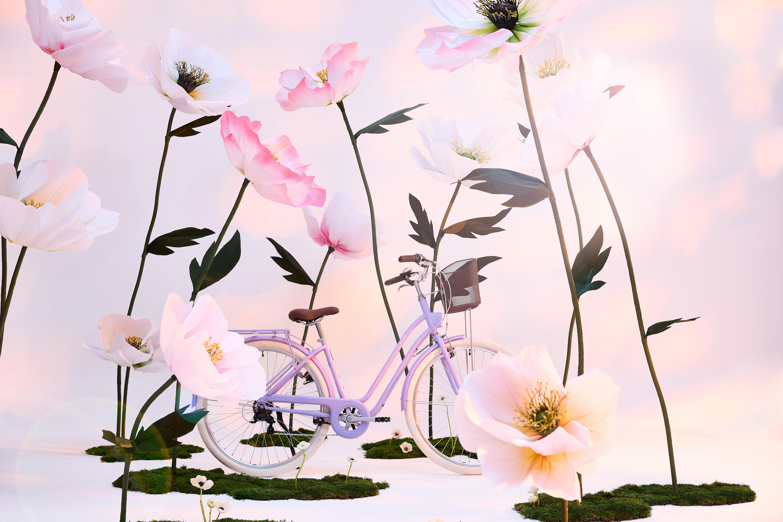 Citybike mit tiefem Rahmen 520, lavendelviolett 3/8