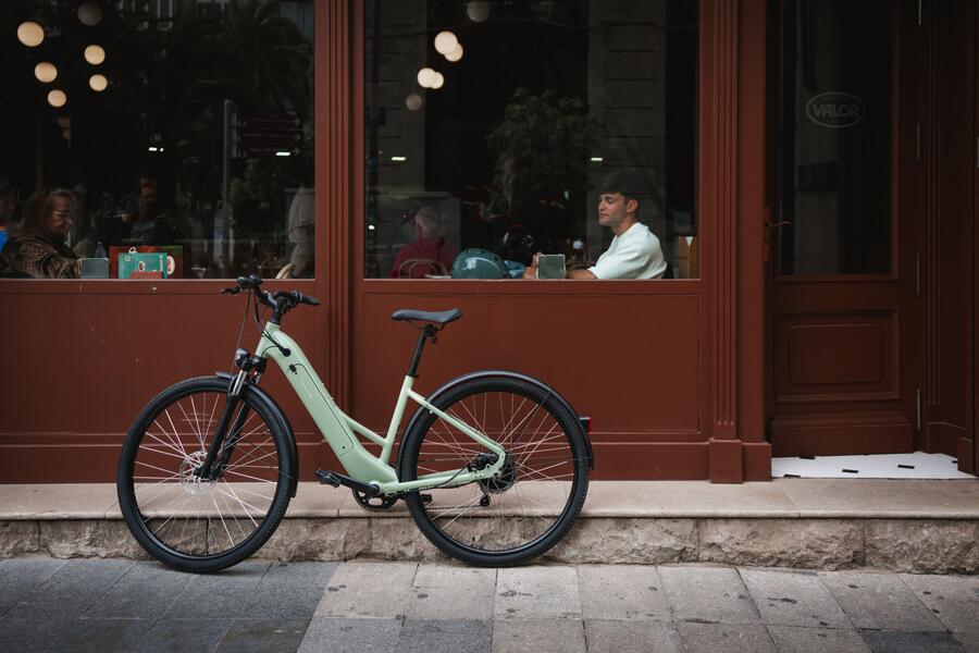 Auswahl an Trekking E-Bikes