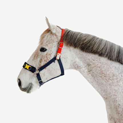 Licol Izisafe éducatif cheval et poney - bleu rouge jaune
