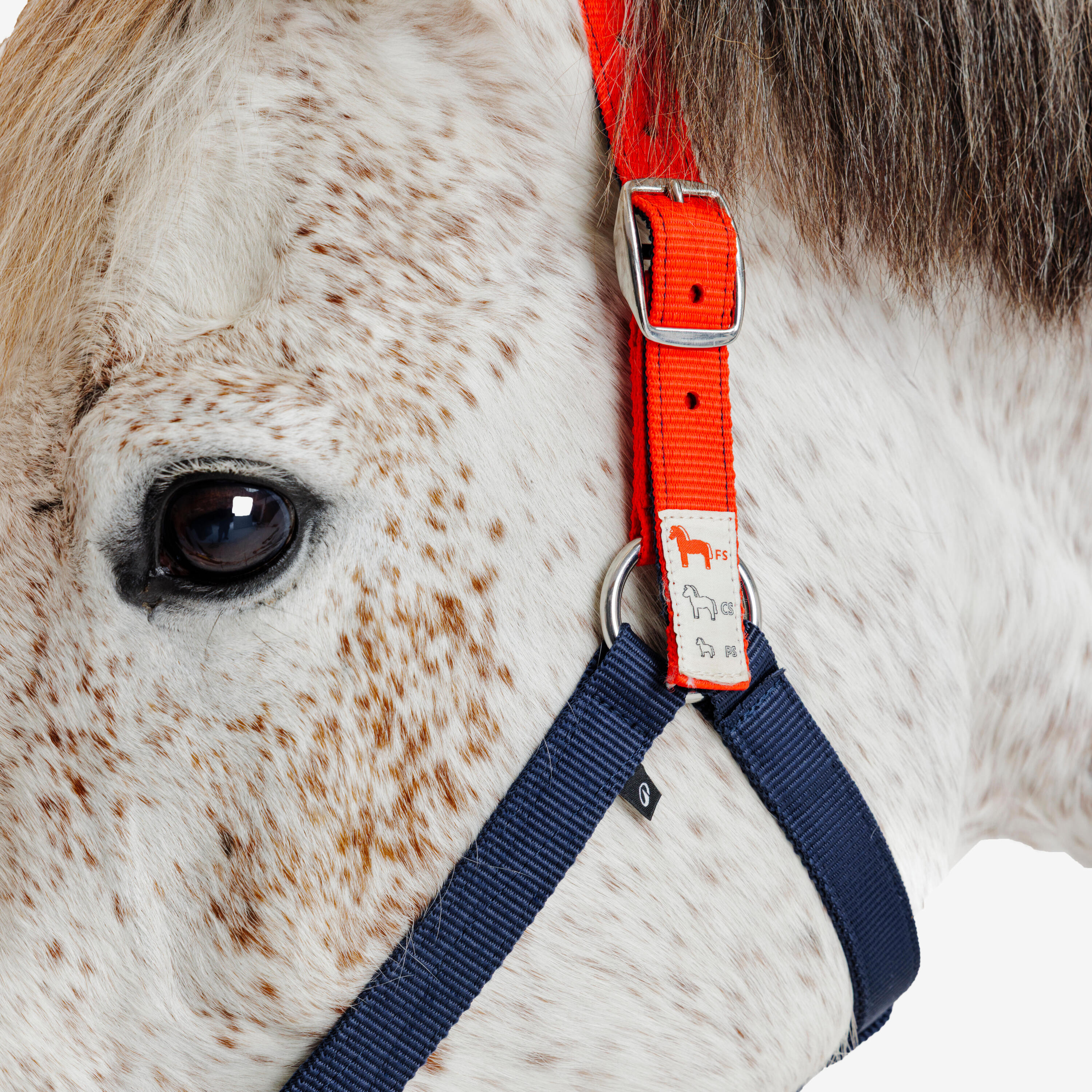 Licol Izisafe éducatif cheval et poney - bleu rouge jaune 4/9