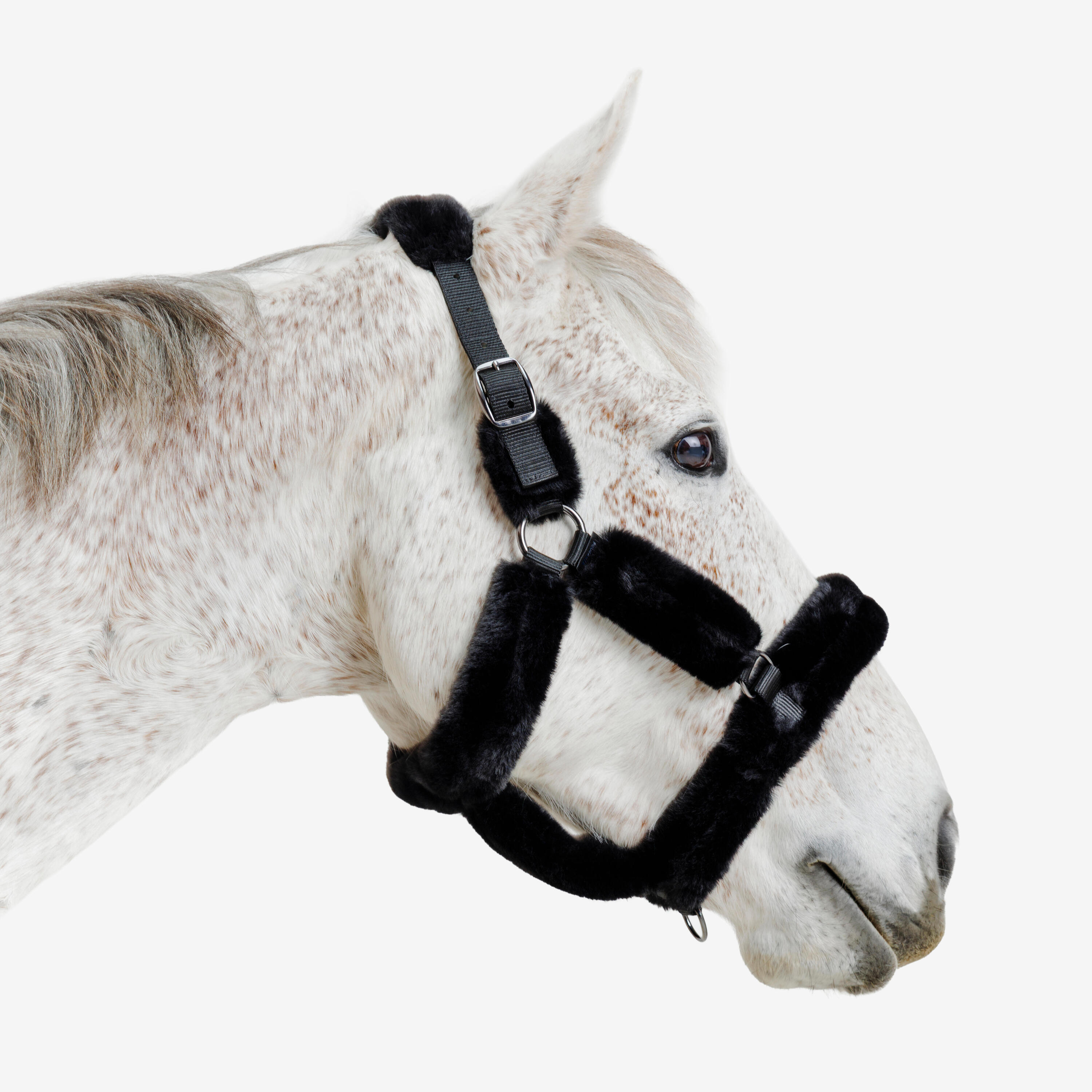 Licol équitation en mouton synthétique cheval - noir 5/5