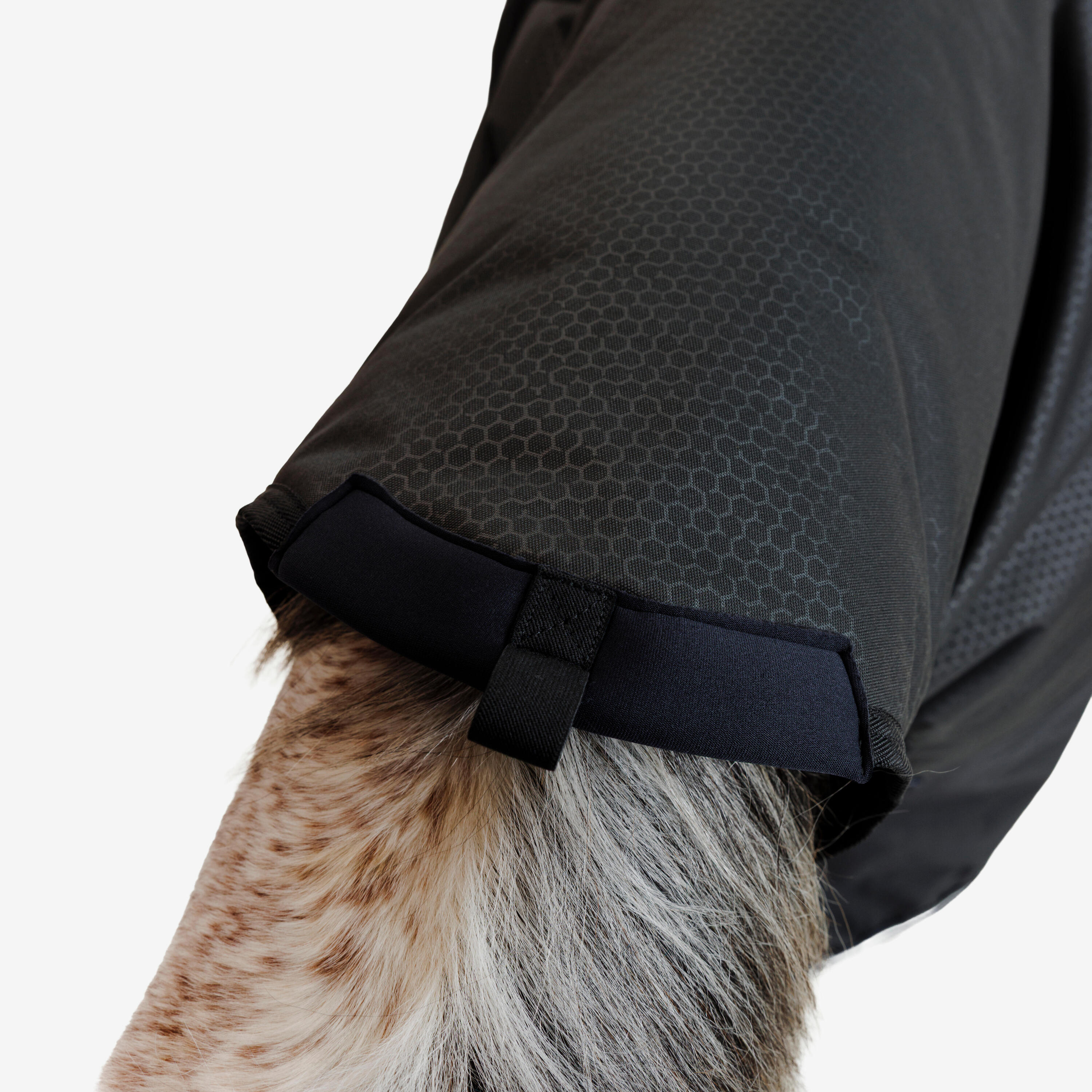 Horse Riding Waterproof Neck Cover for Horse Allweather 200 g - Black 6/6