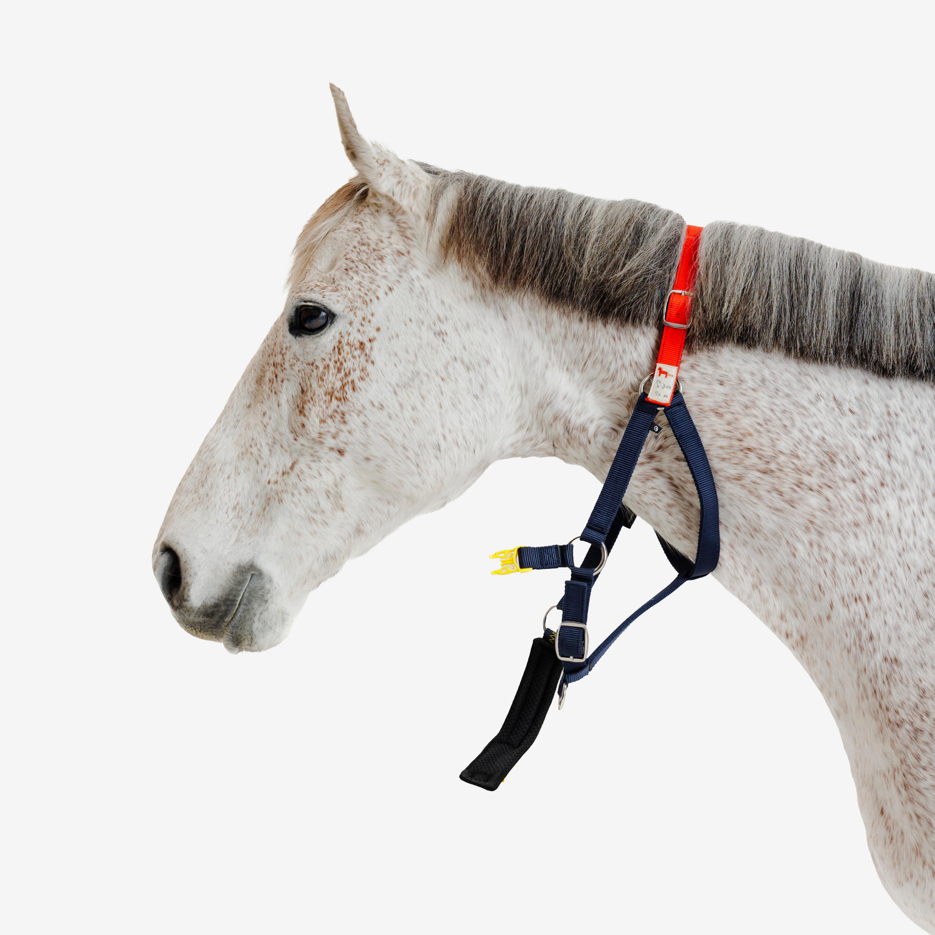 Licol Izisafe éducatif cheval et poney - bleu rouge jaune 3/9