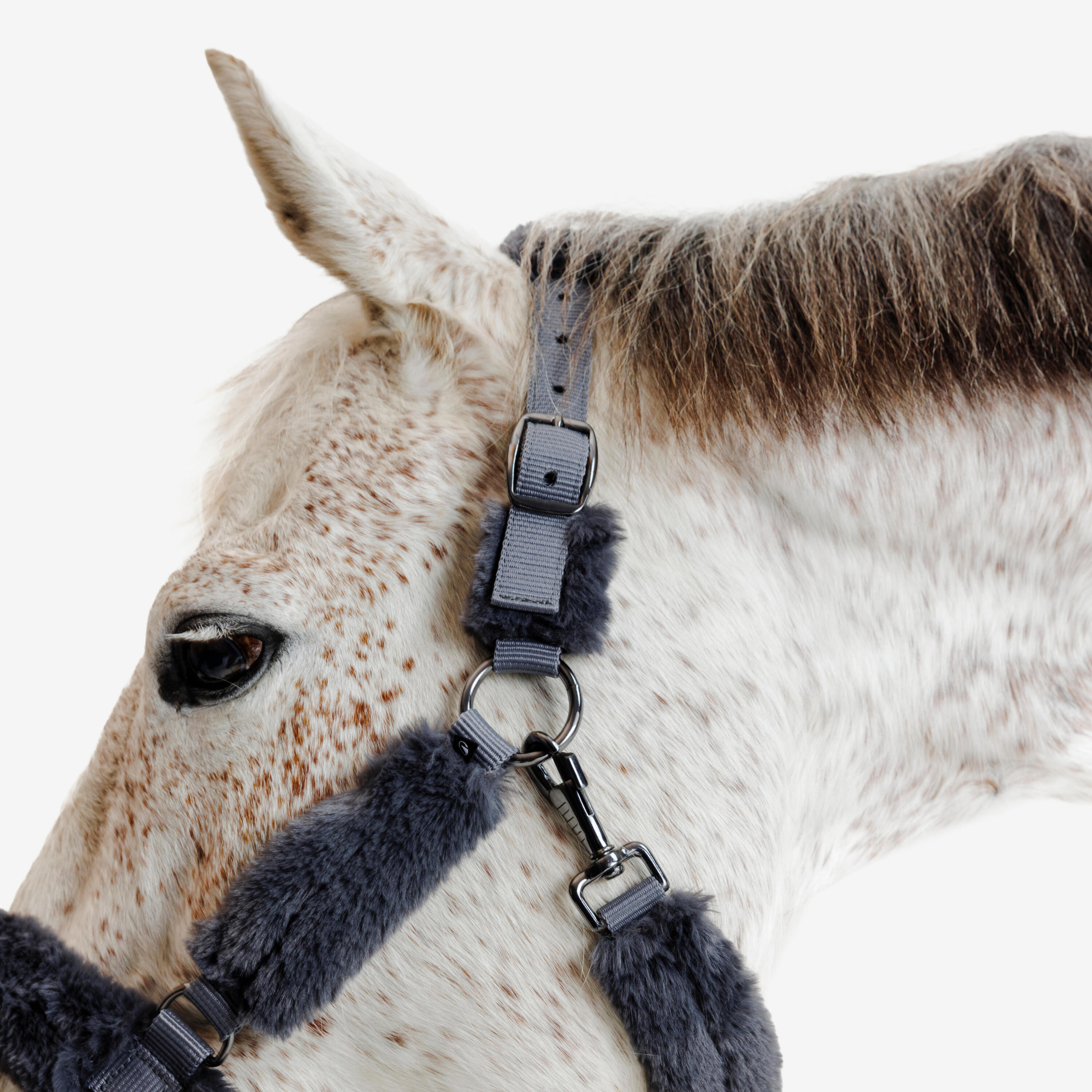 Licol équitation en mouton synthétique cheval - gris 2/5