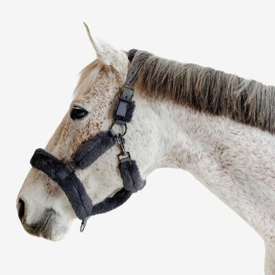 Capezza equitazione agnellino cavallo grigia