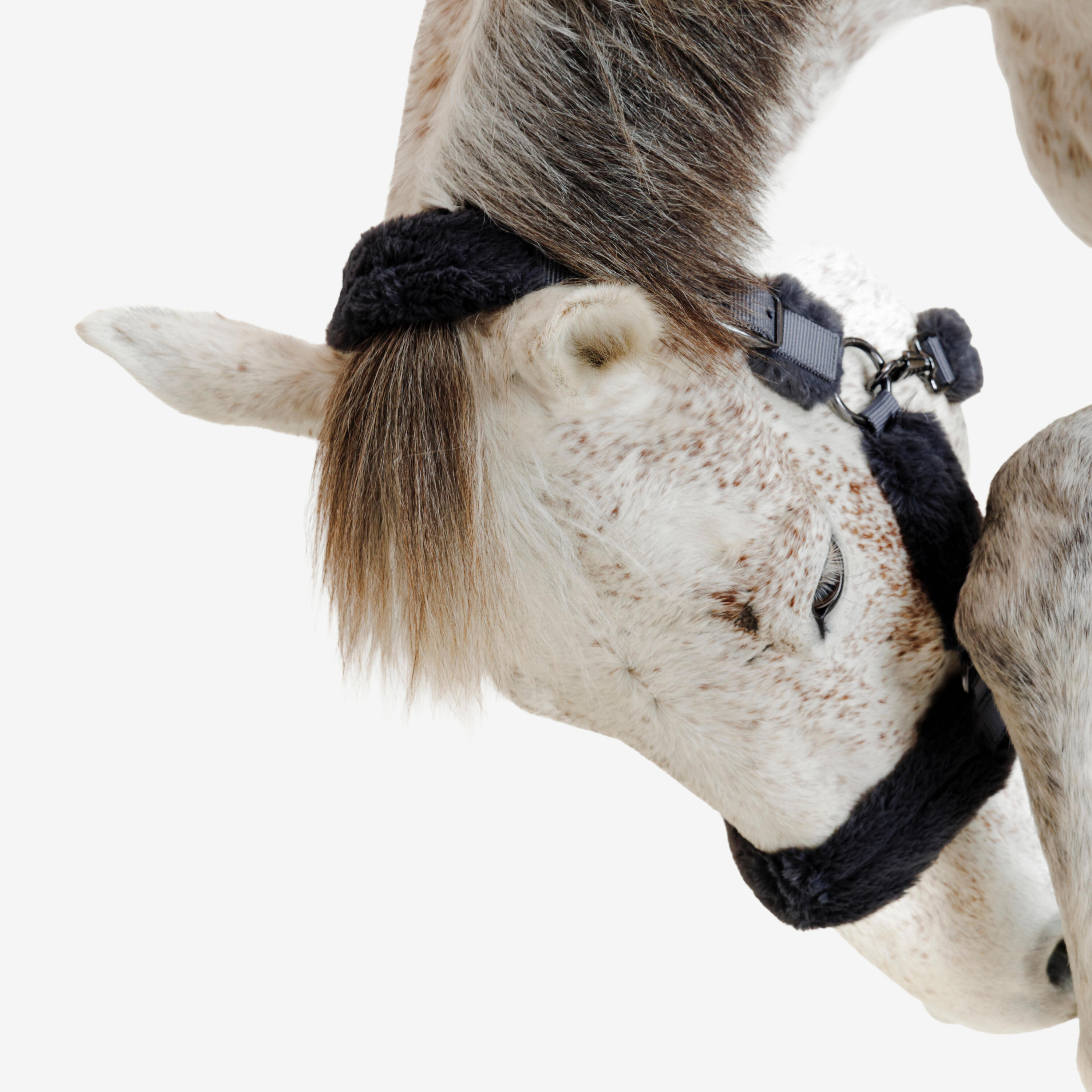 Licol équitation en mouton synthétique cheval - gris 4/5