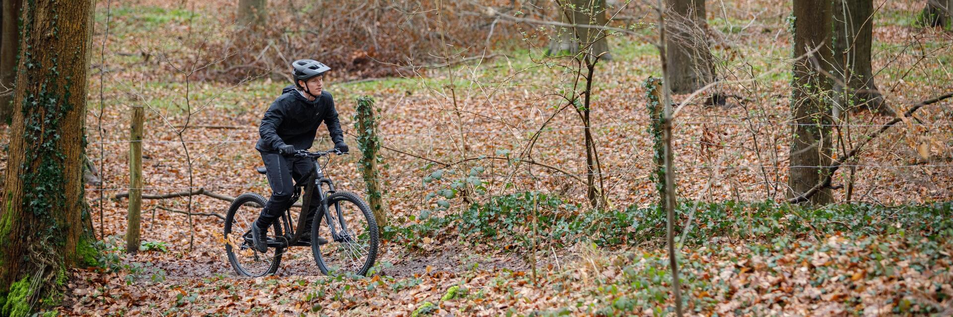 MON REGIME FORME DE L’AUTOMNE