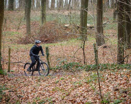 MON REGIME FORME DE L’AUTOMNE