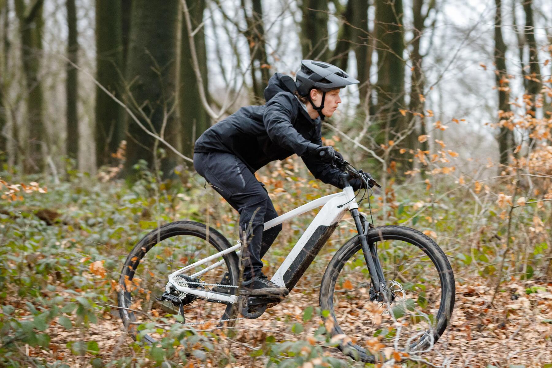 bonus bici