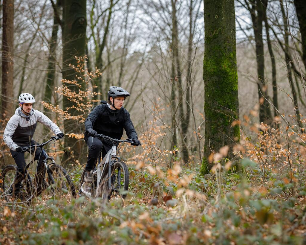 Electric Bikes