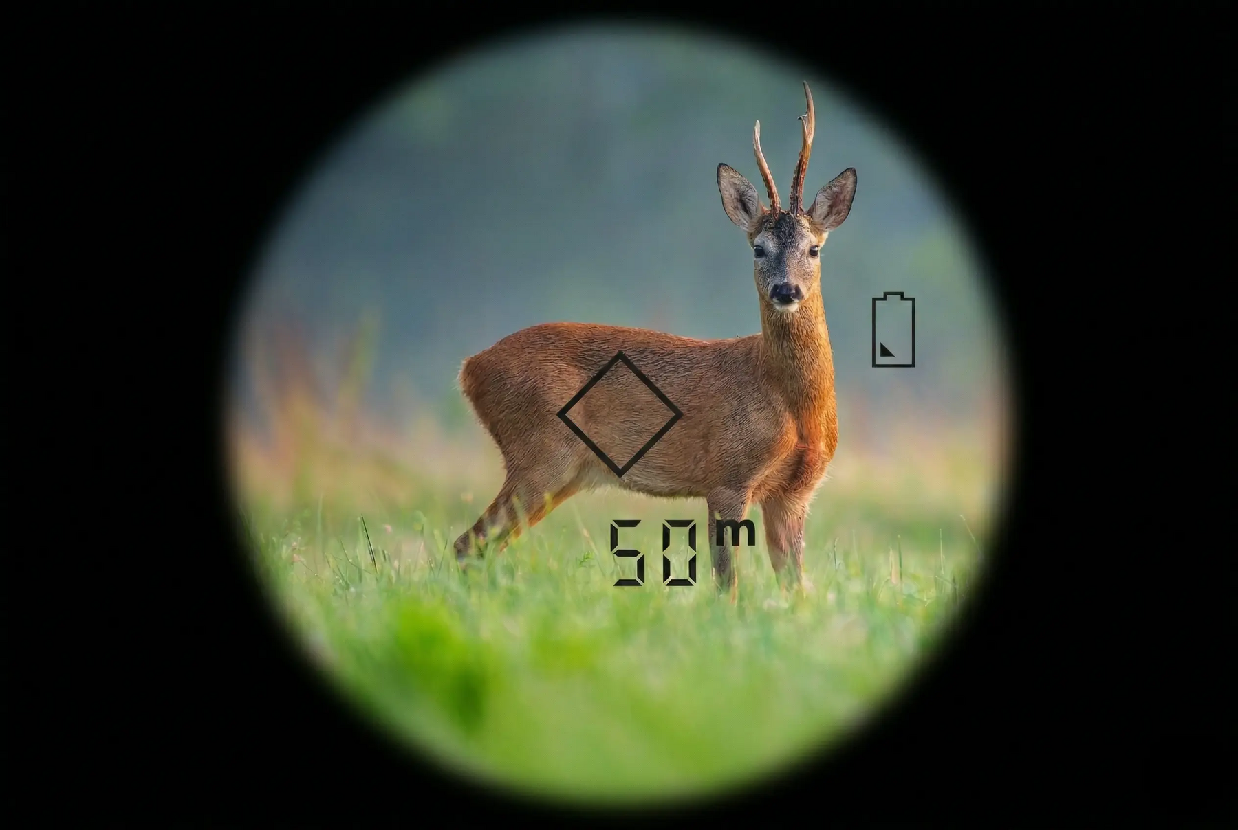 hunting binoculars magnification
