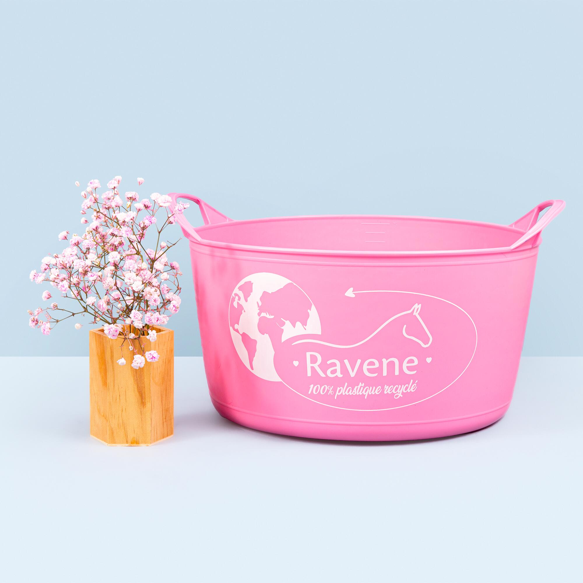 RAVENE picture