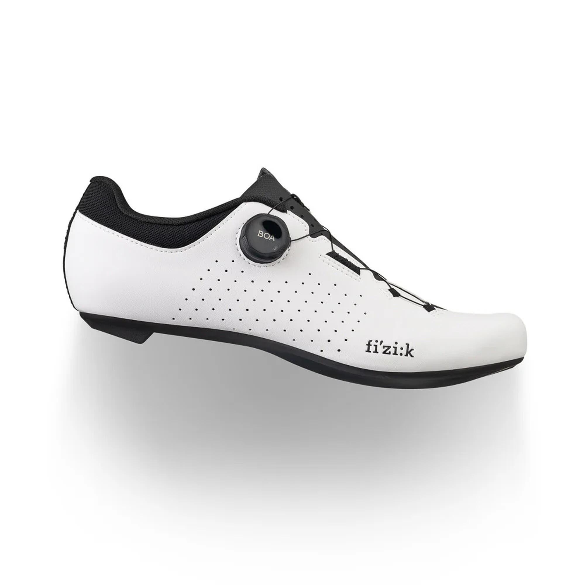 FIZIK picture