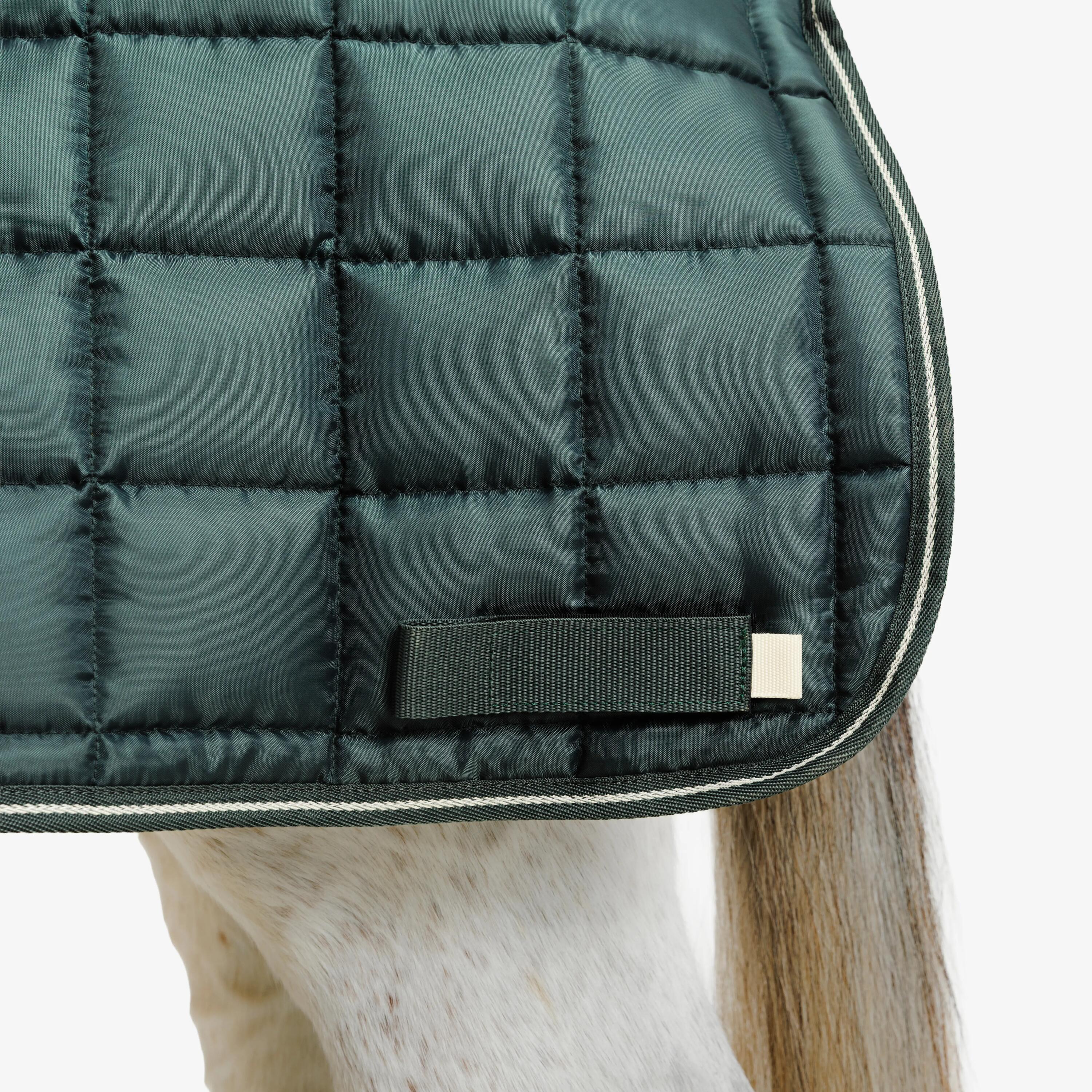 Staldeken voor paarden en pony's Combo 300 300 g 200D groen 7/10