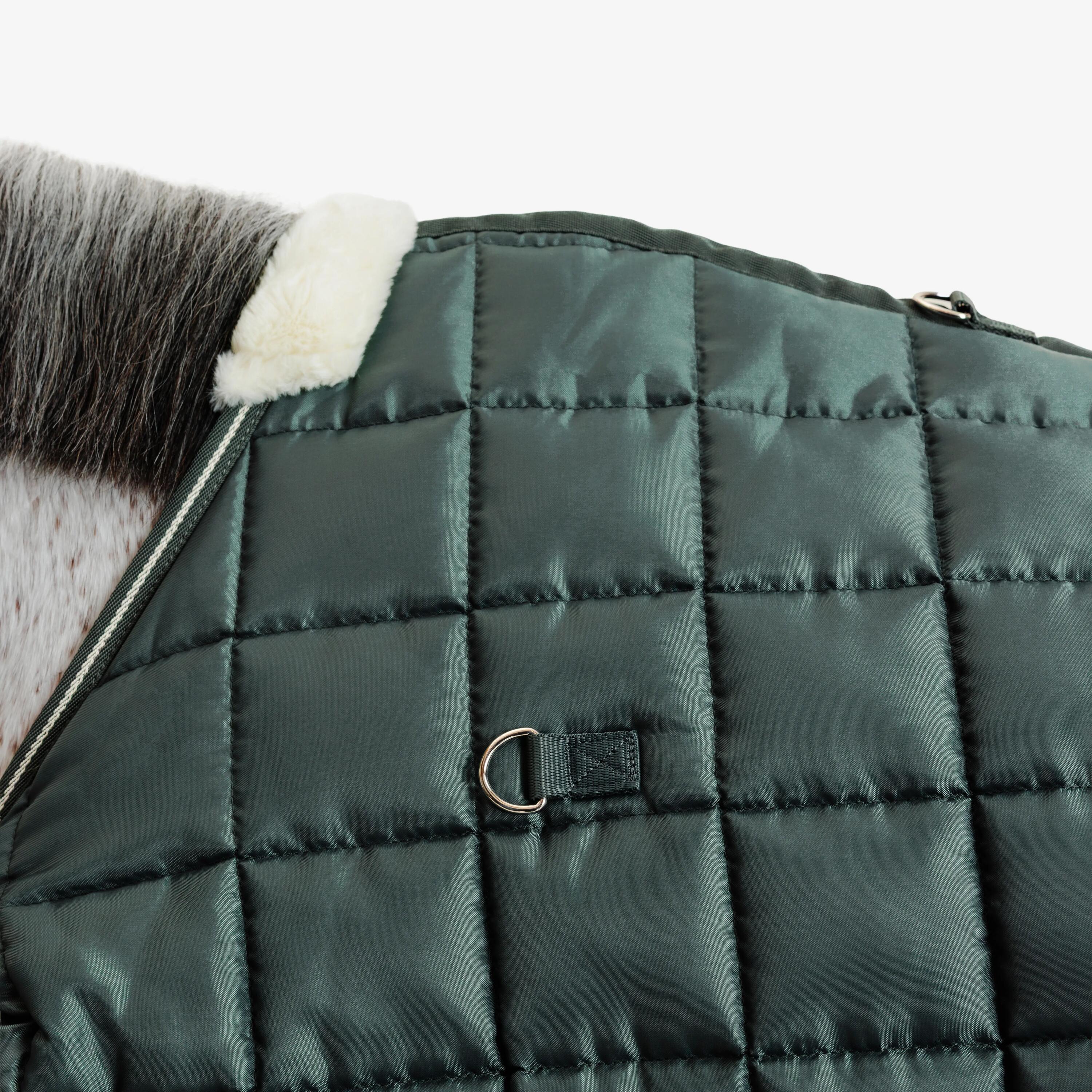 Staldeken voor paarden en pony's Combo 300 300 g 200D groen 6/10