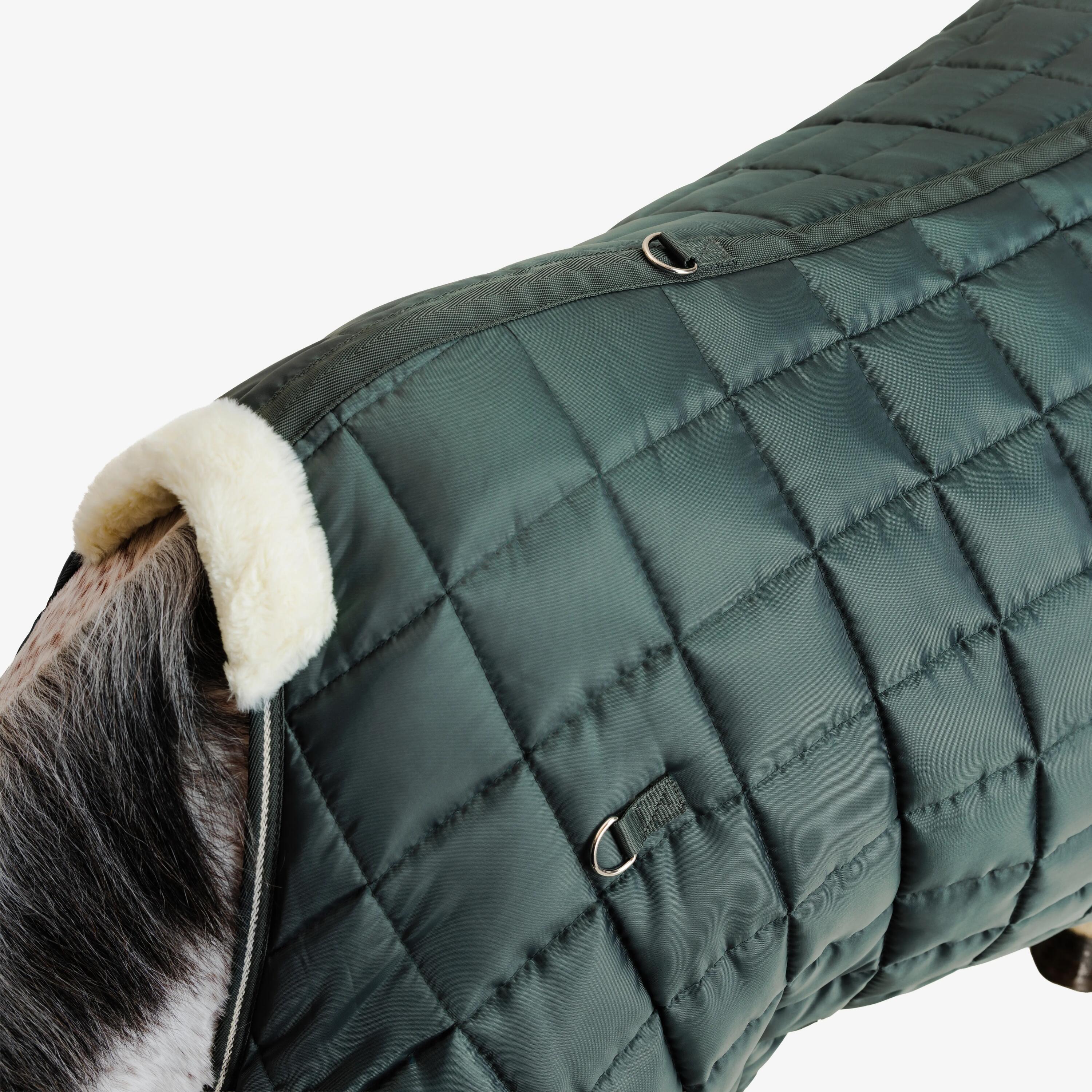 Staldeken voor paarden en pony's Combo 300 300 g 200D groen 2/10