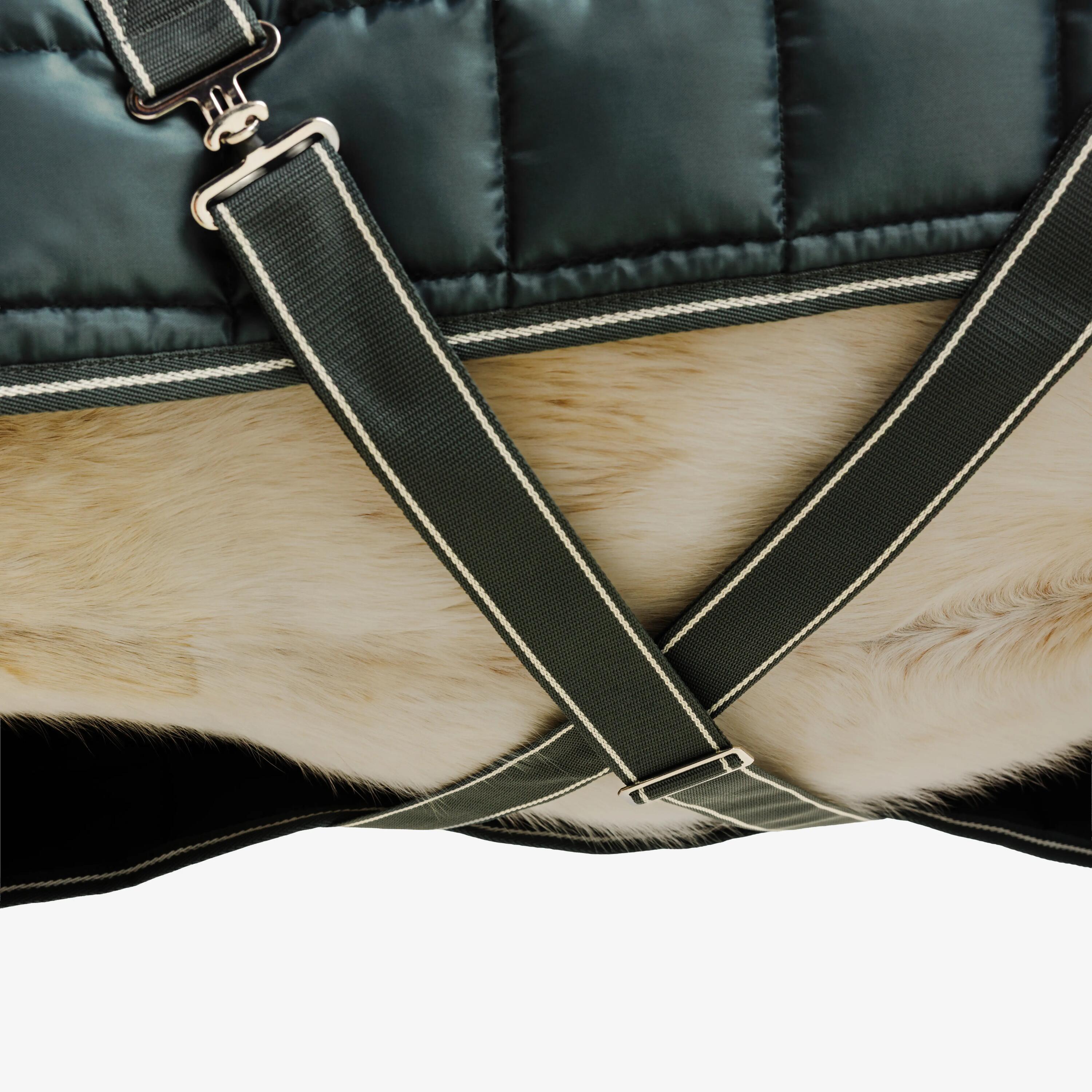 Staldeken voor paarden en pony's Combo 300 300 g 200D groen 5/10
