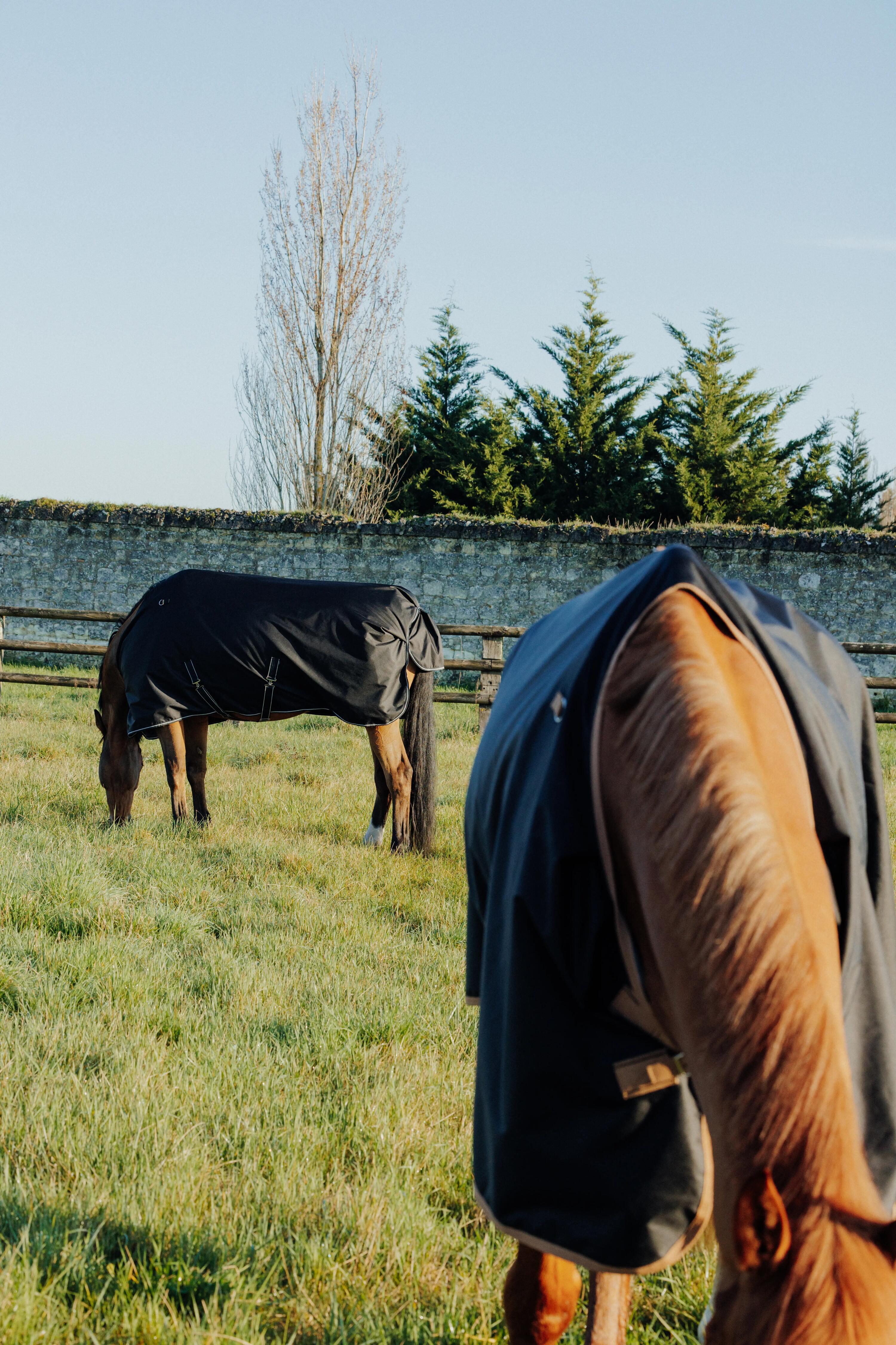 Regendeken voor paarden en pony's AllWeather 600D zwart 200 g 10/10