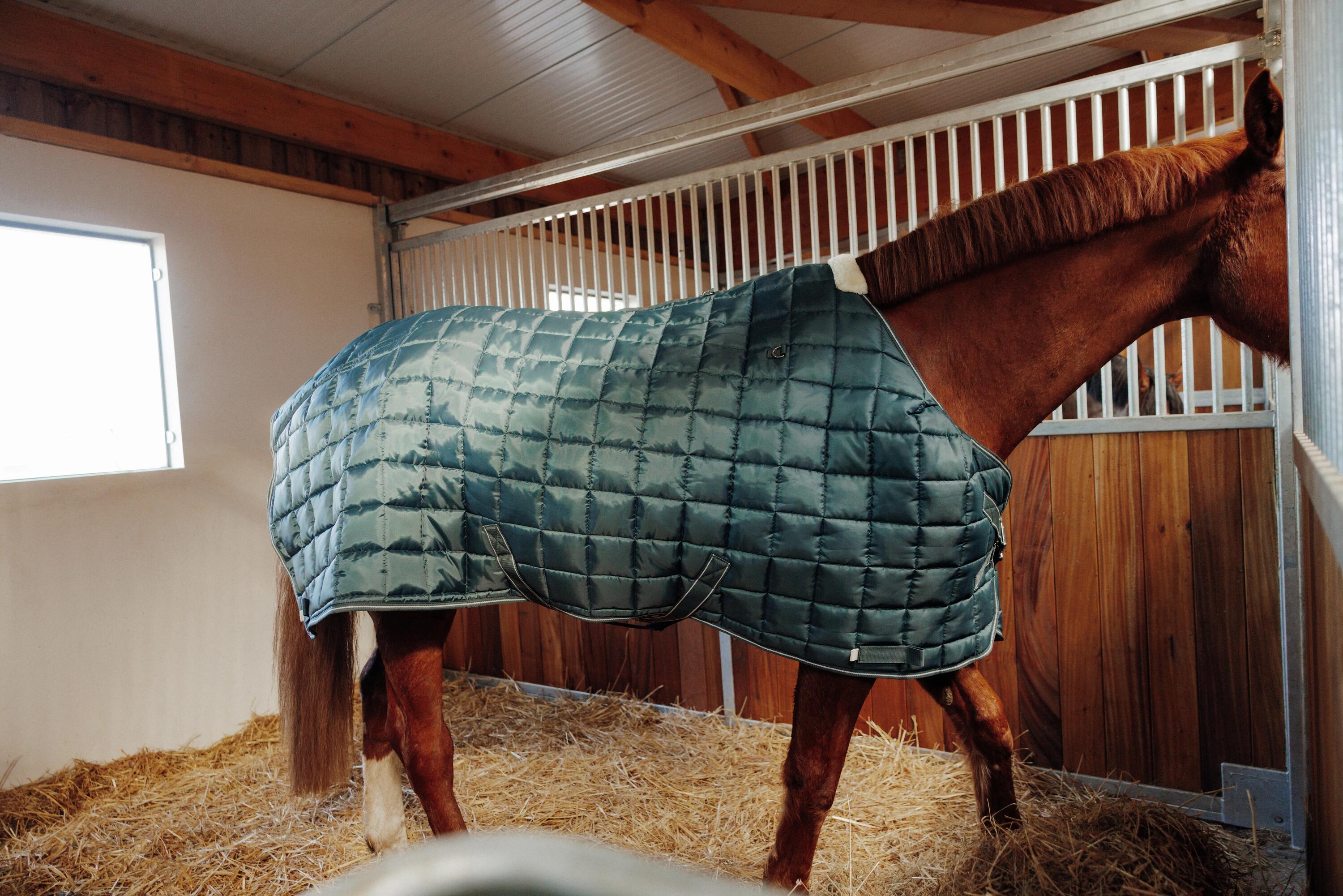 Staldeken voor paarden en pony's Combo 300 300 g 200D groen 10/10