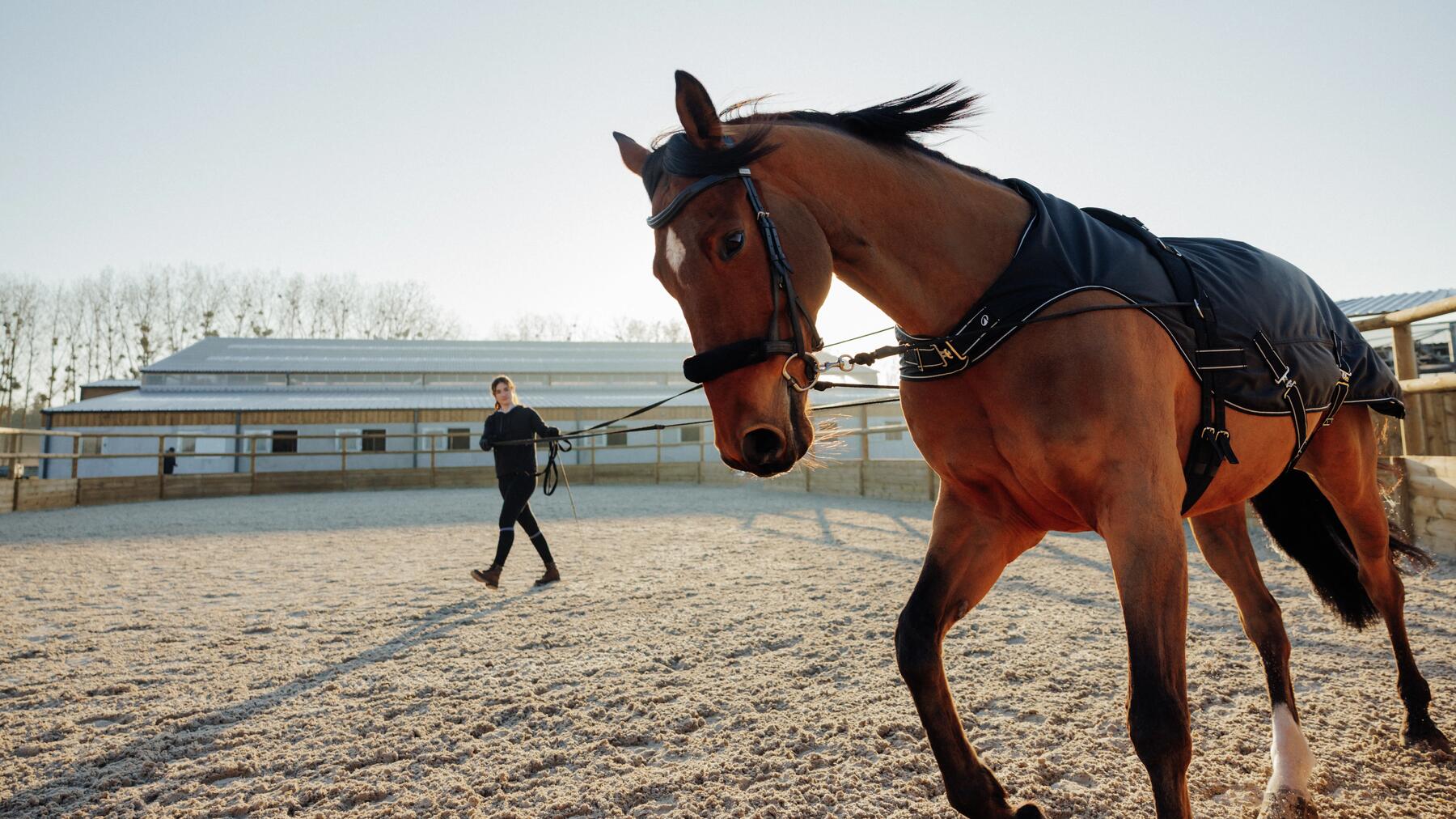 les_equipements_de_la_selle