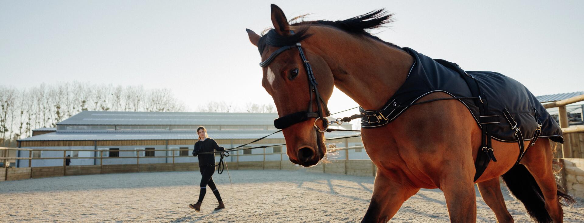 La importancia de las horse cooler o mantas para caballo