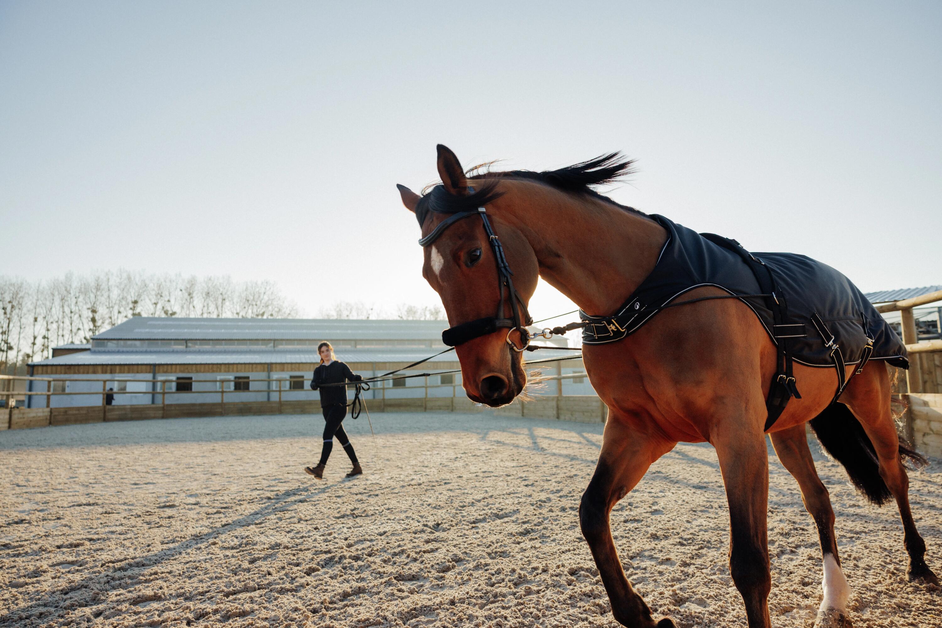 La importancia de las horse cooler o mantas para caballo