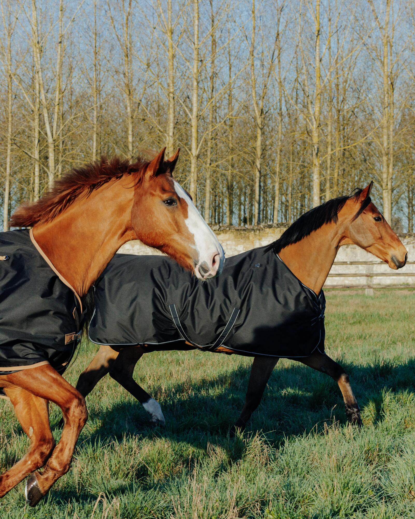 Art. card for deportes/equitacion-e-hipica/mantas-para-caballos