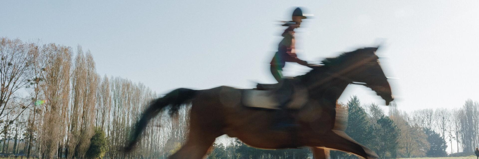 Reiter verschwommen, durch das Galopp auf dem Pferd.