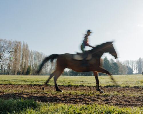Reiter verschwommen, durch das Galopp auf dem Pferd.