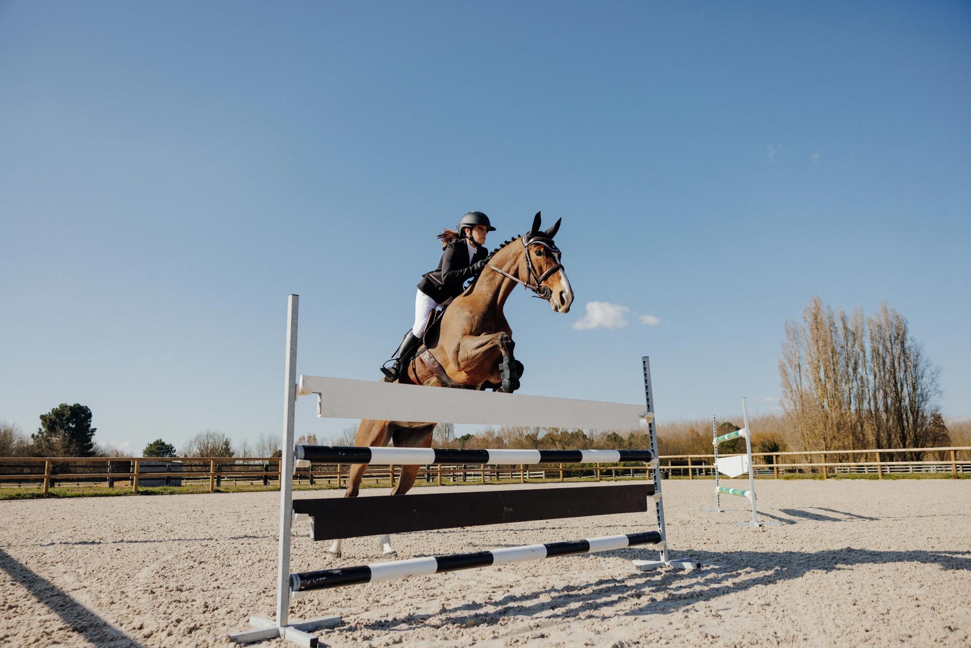 Practica Equitación