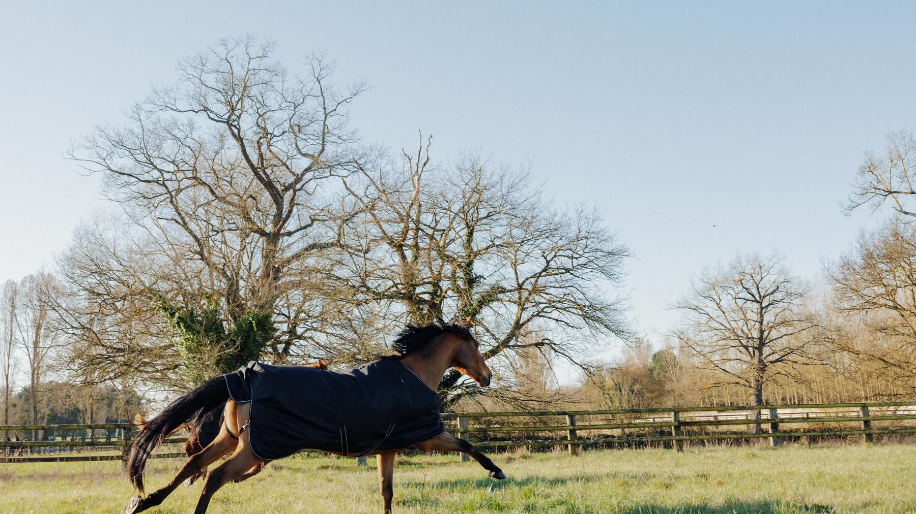 SĂRITURI ÎNAINTE DE CONCURS 