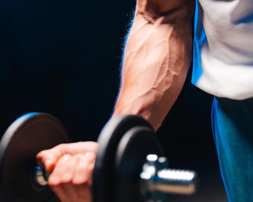 Musculation avec et sans protéine, quelle différence 