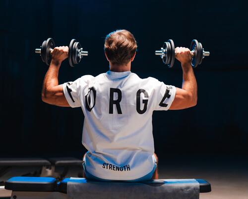 mass gainer