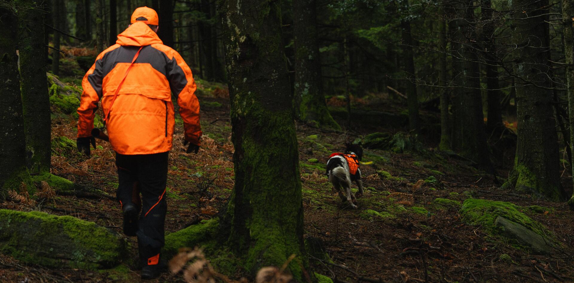 Un traqueur et son chien