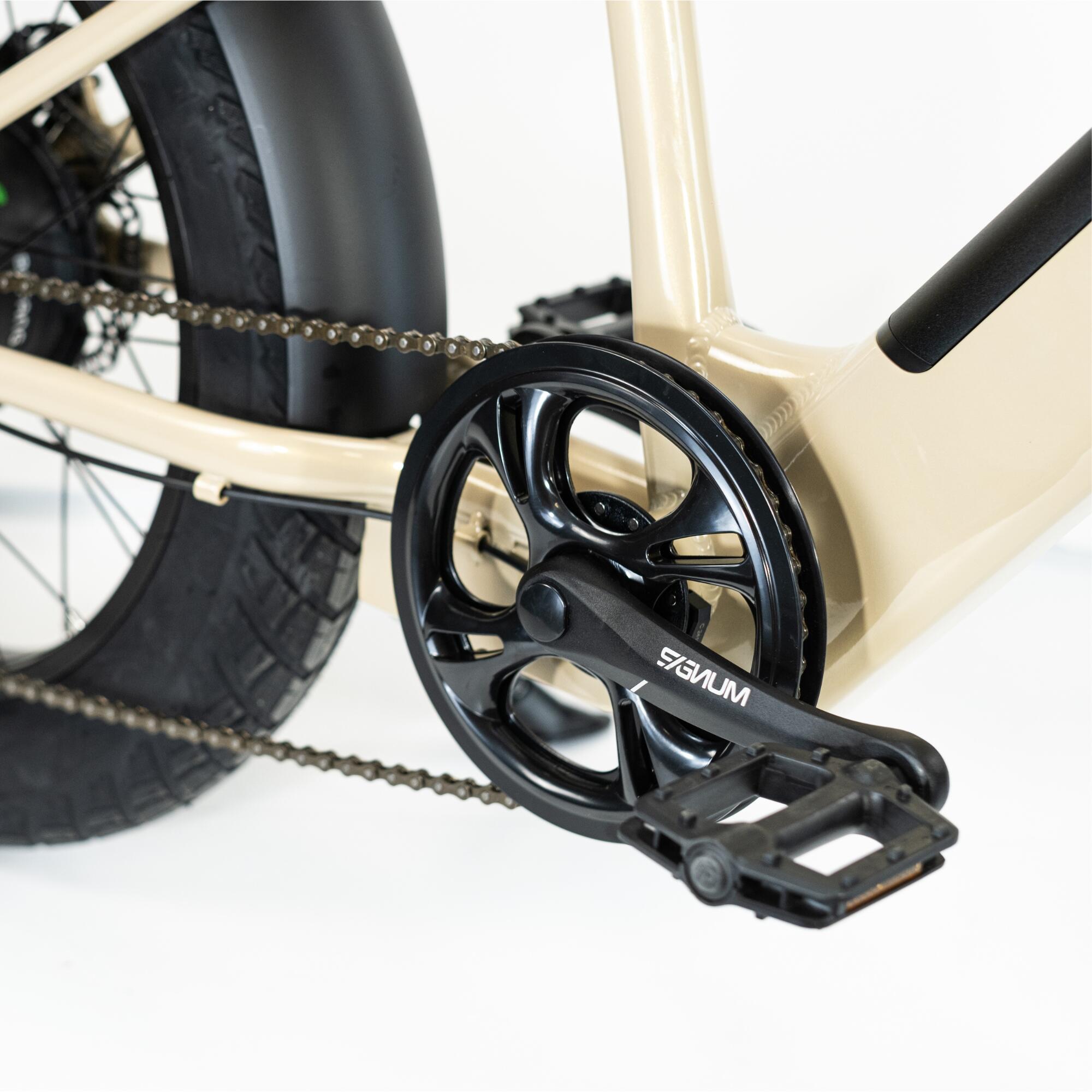 Fat Bike - Stilus Cruiser Beige 2026 2/8