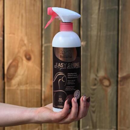 Glanzspray Easy Shine 750 ml Limited Edition 20 Jahre